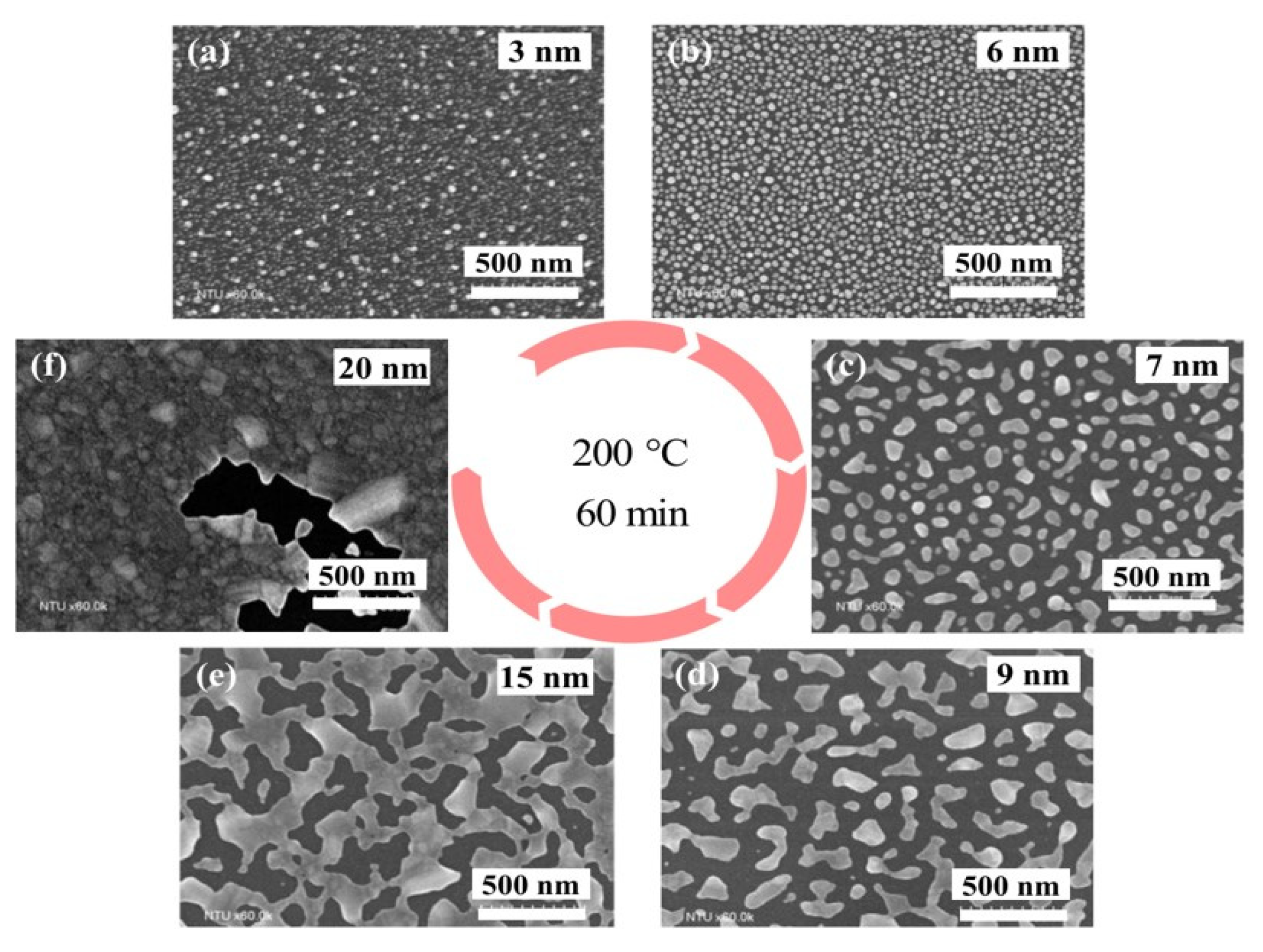 Polymers 15 00180 g004