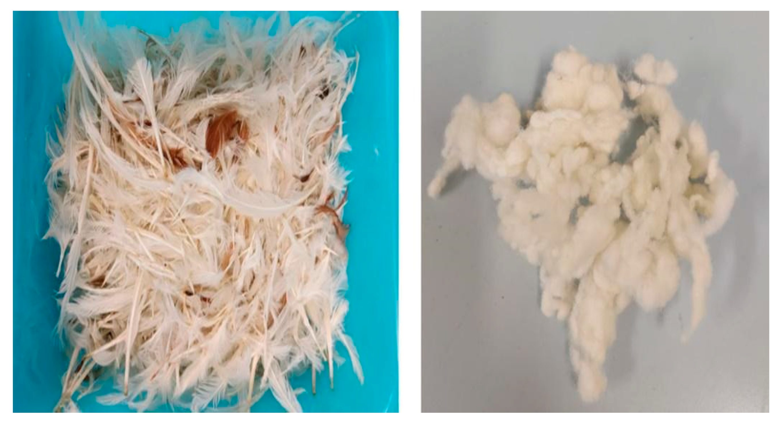 Polymers 15 00181 g002 Polymers 15 00181 g002