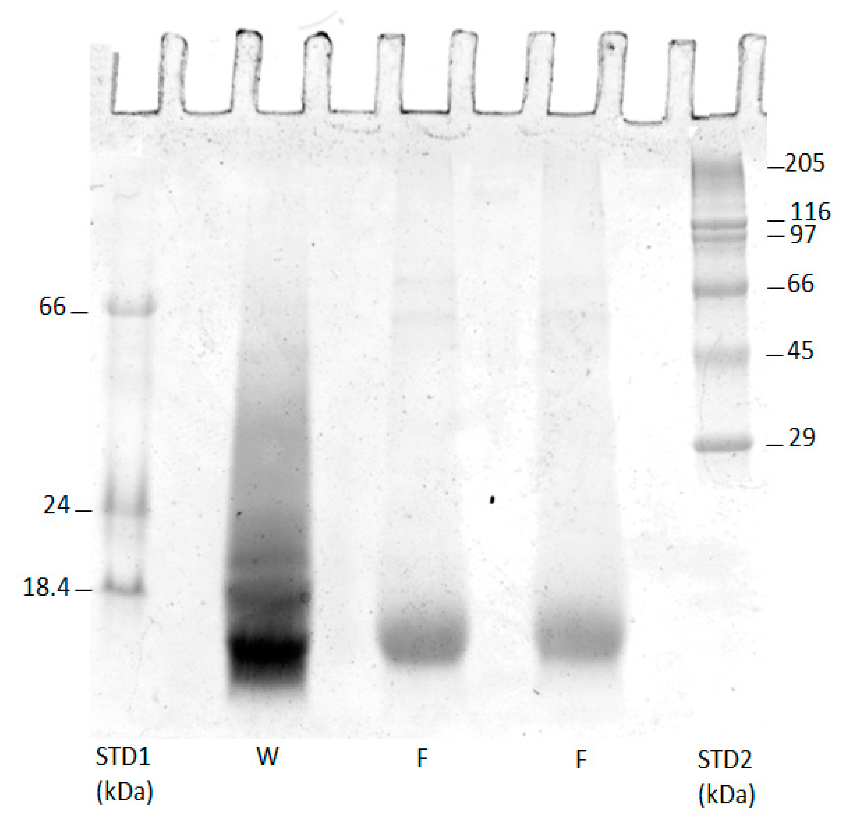 Polymers 15 00181 g003 Polymers 15 00181 g003