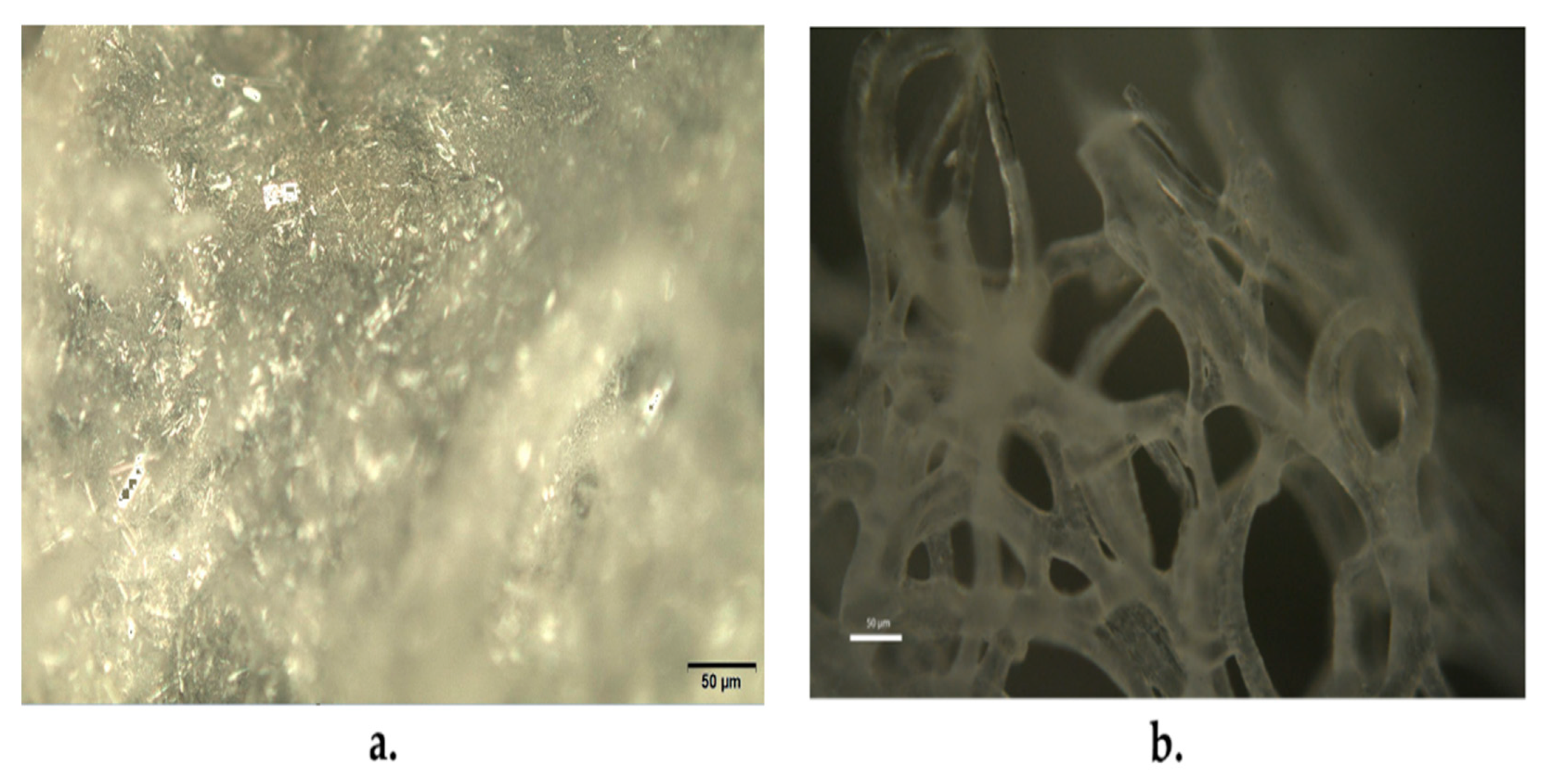 Polymers 15 00181 g005 Polymers 15 00181 g005