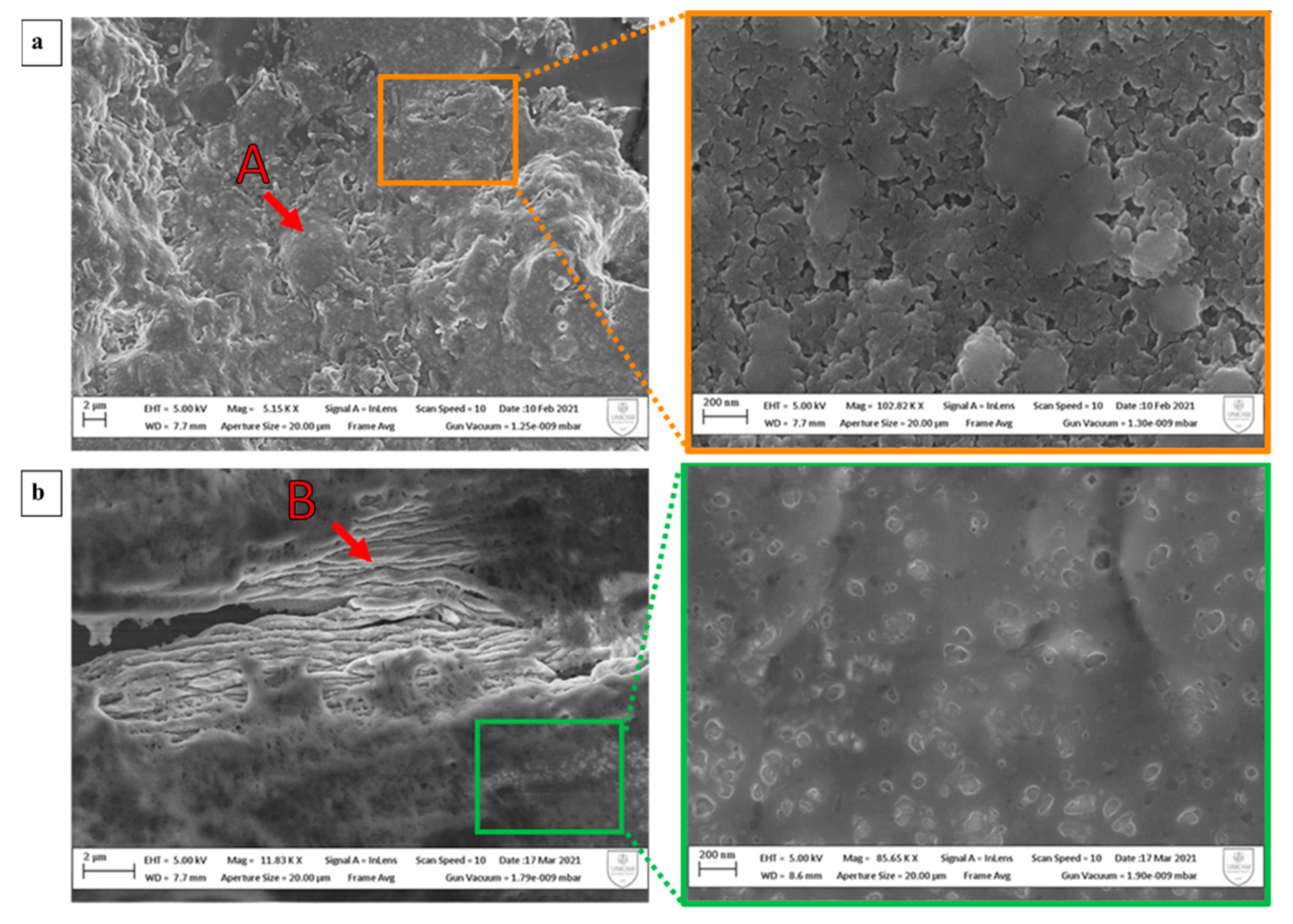 Polymers 15 00181 g007 Polymers 15 00181 g007