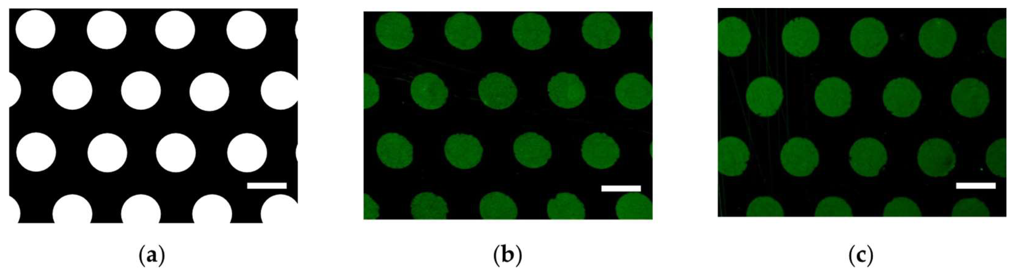 Polymers 15 00184 g004 Polymers 15 00184 g004