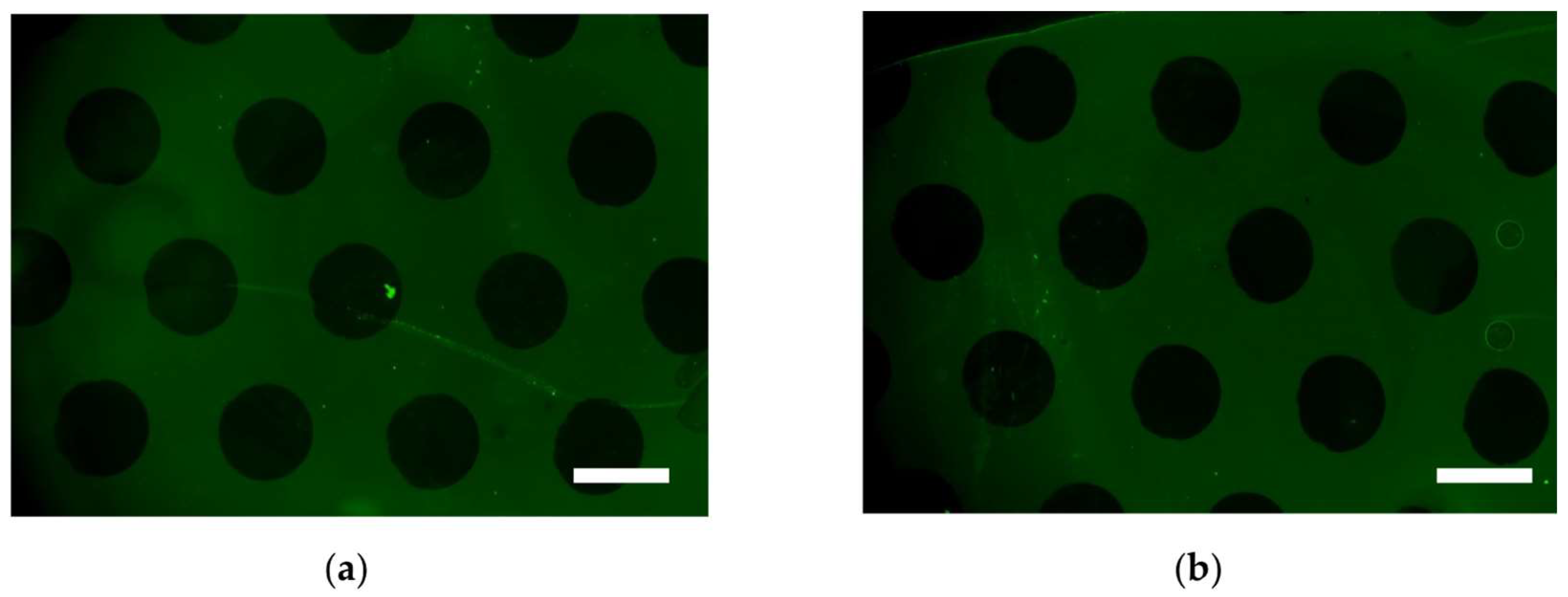 Polymers 15 00184 g005 Polymers 15 00184 g005