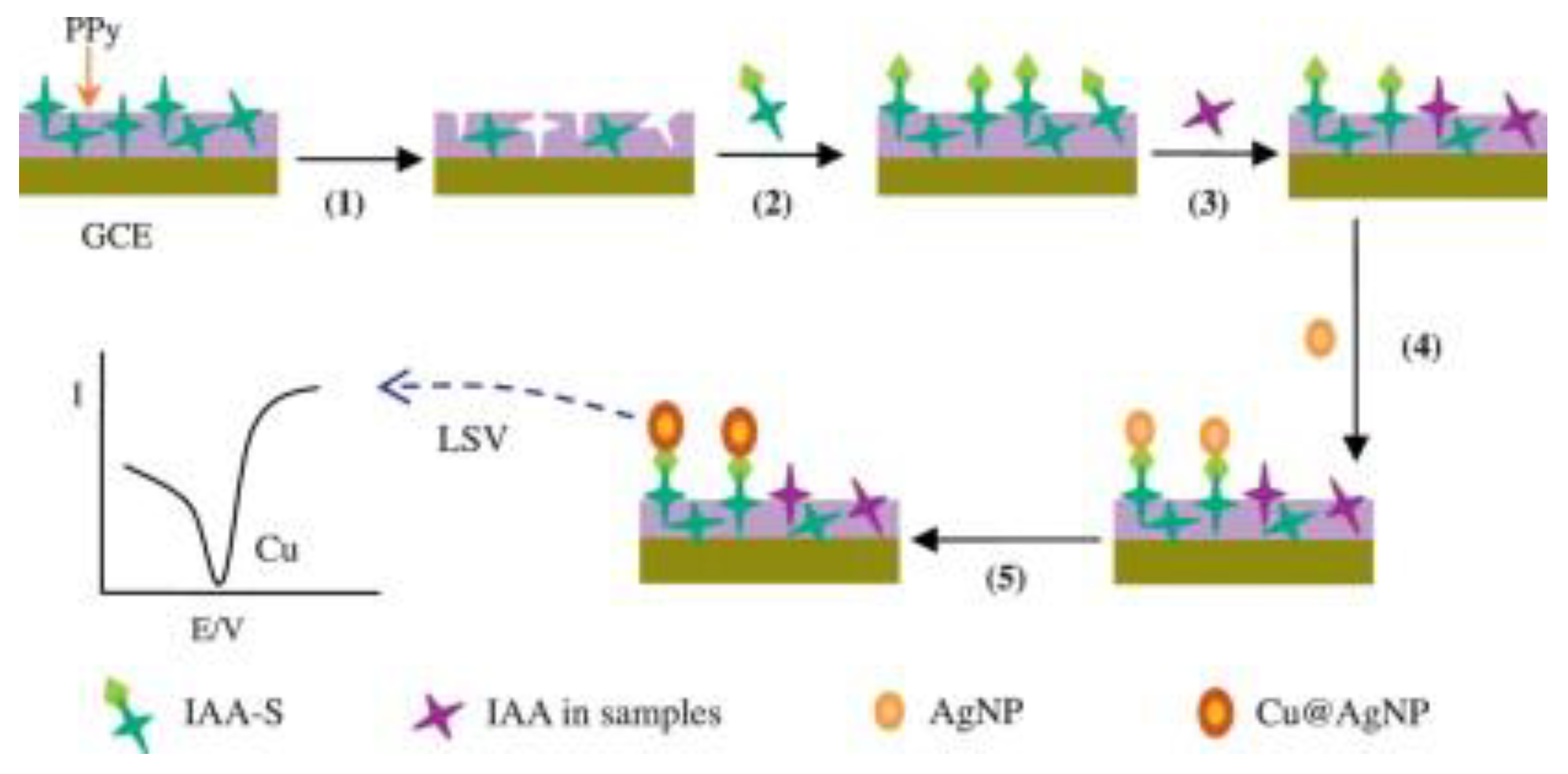 Polymers 15 00187 g003 Polymers 15 00187 g003