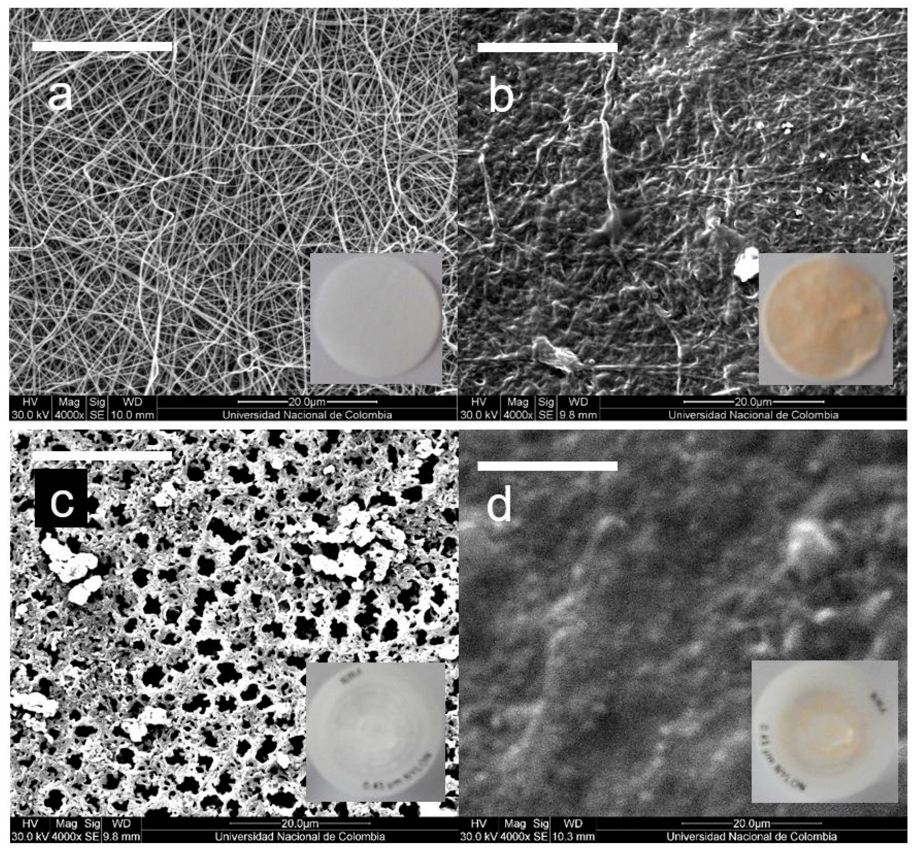 Polymers 15 00192 g003