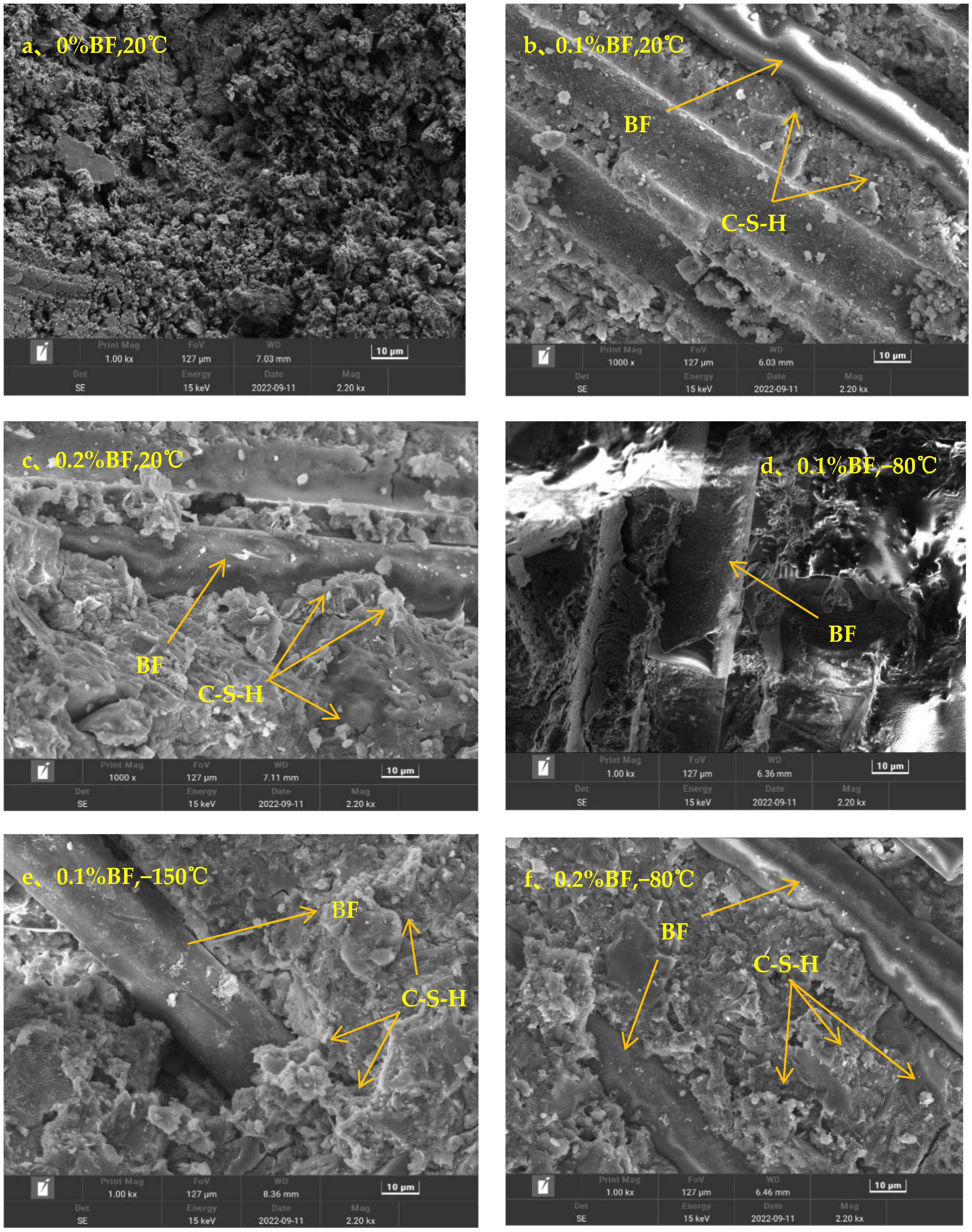 Polymers 15 00196 g022a