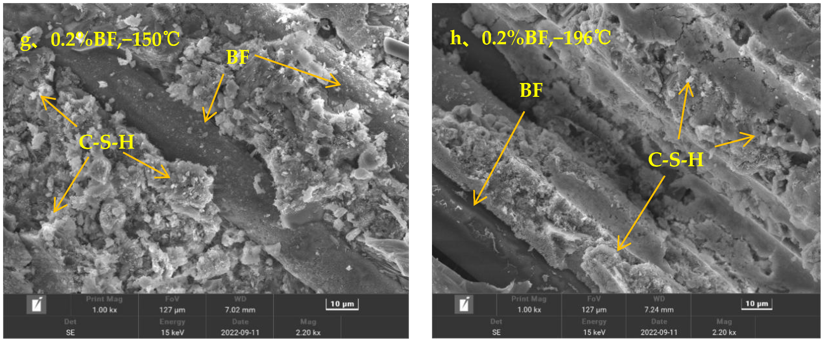 Polymers 15 00196 g022b