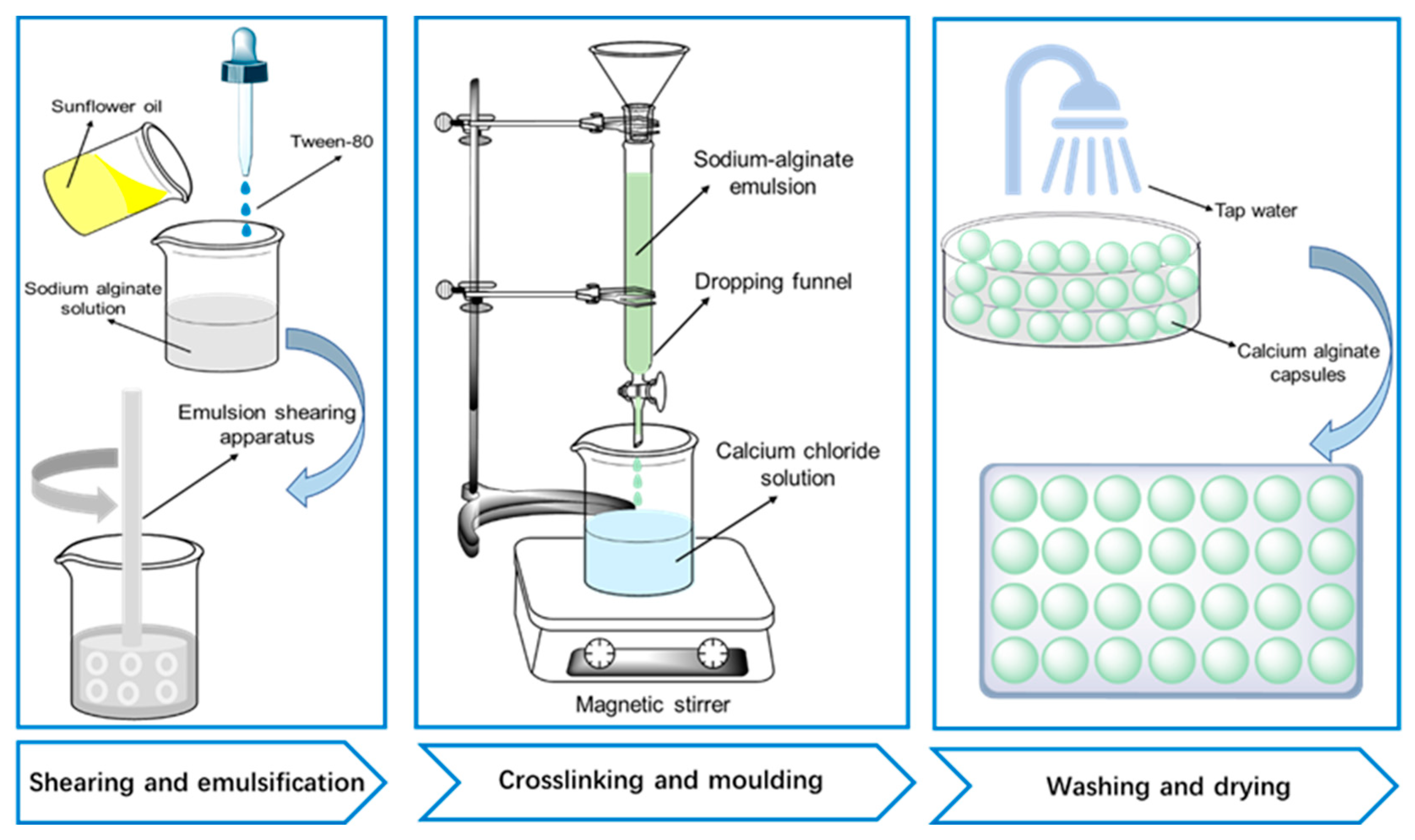 Polymers 15 00199 g001