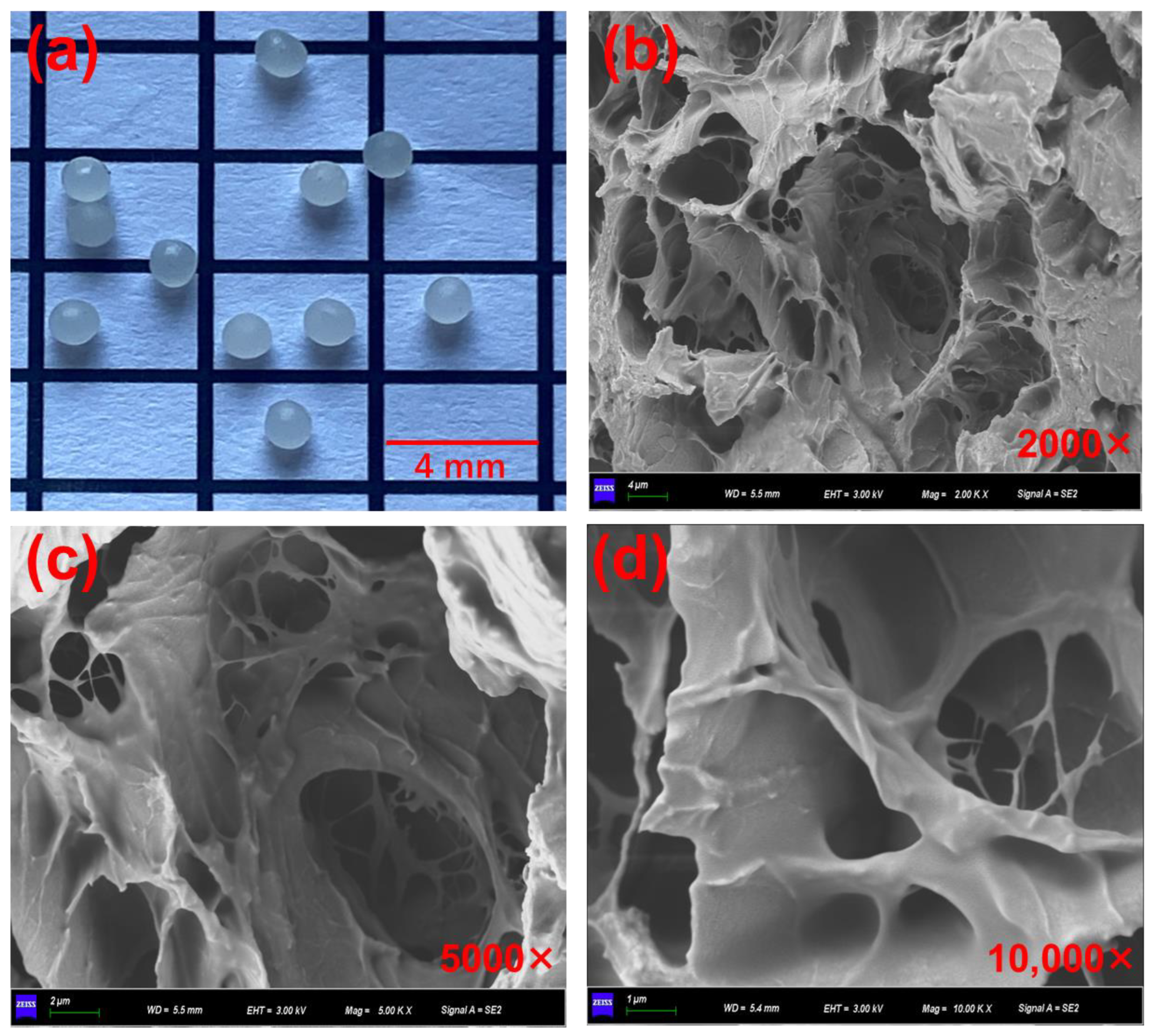 Polymers 15 00199 g006