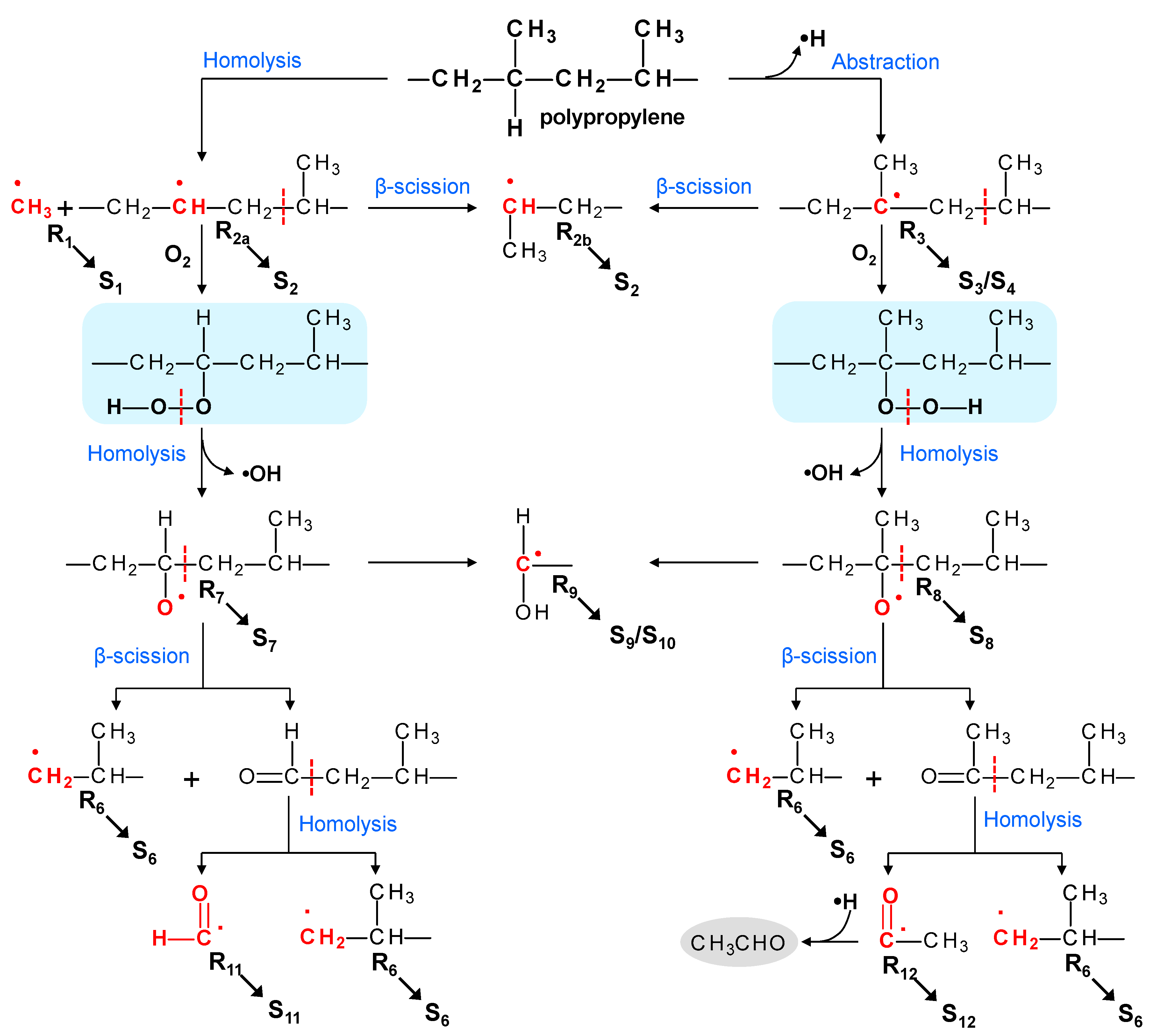 Polymers 15 00200 sch002 Polymers 15 00200 sch002