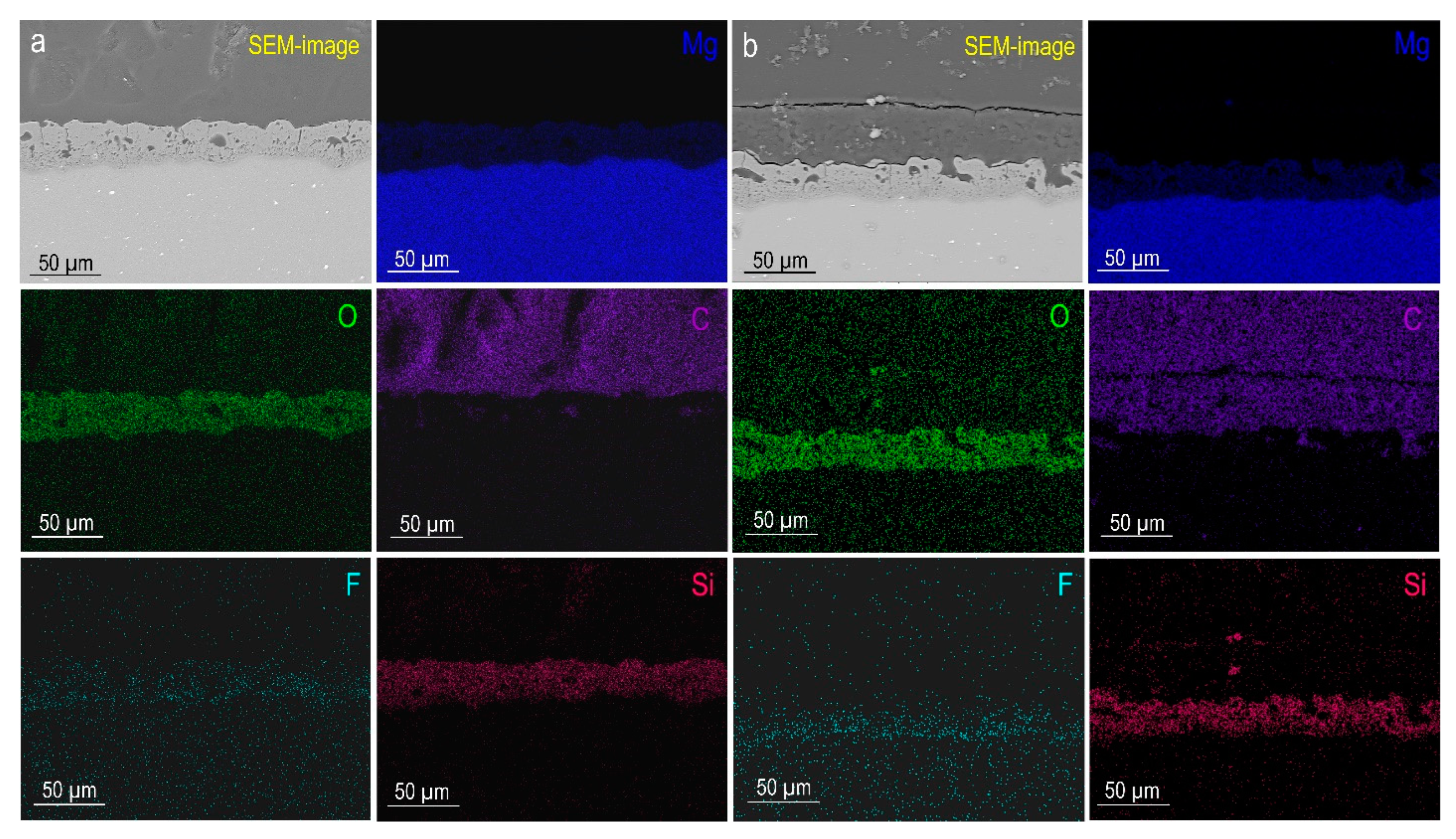 Polymers 15 00202 g002