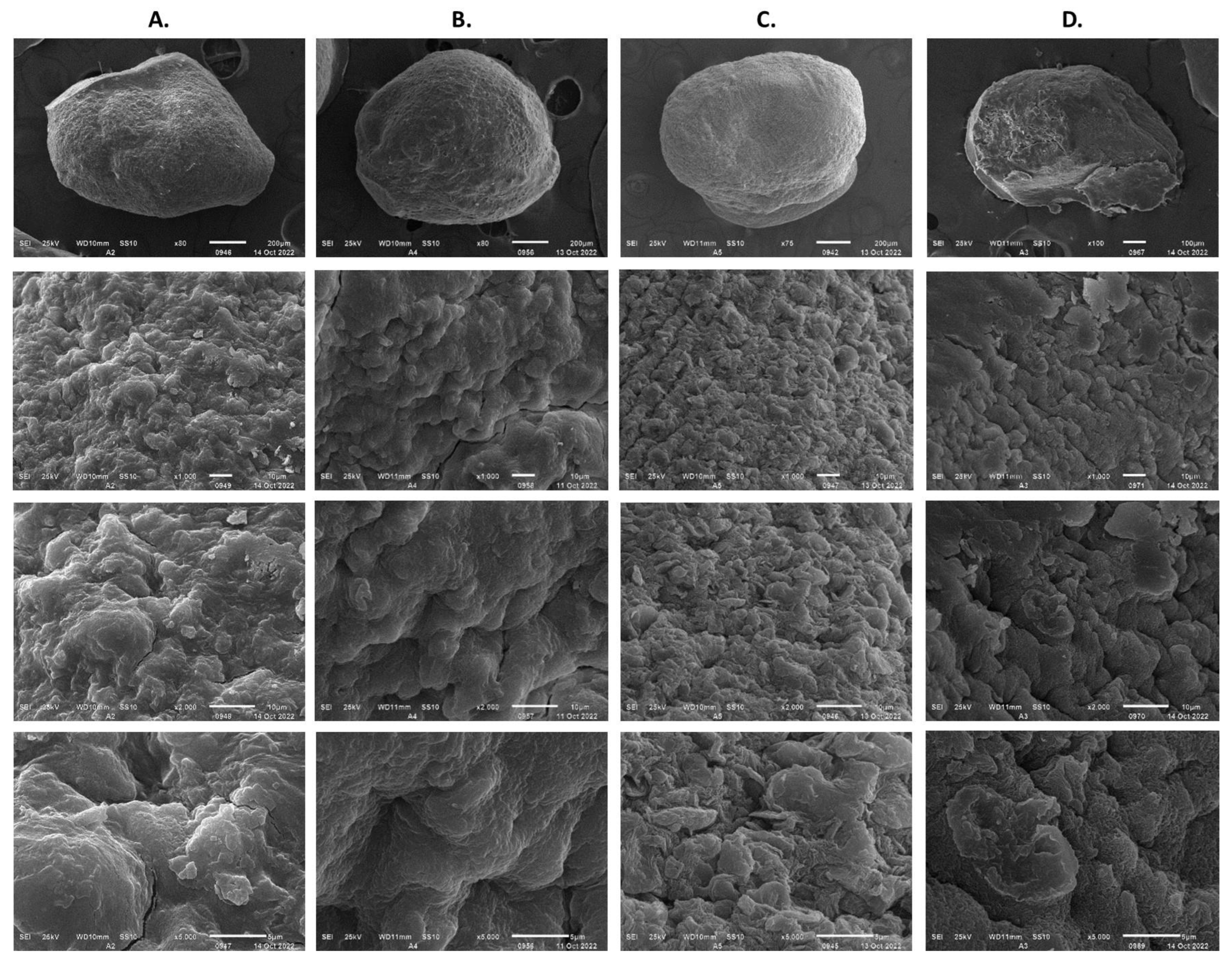 Polymers 15 00207 g014 Polymers 15 00207 g014