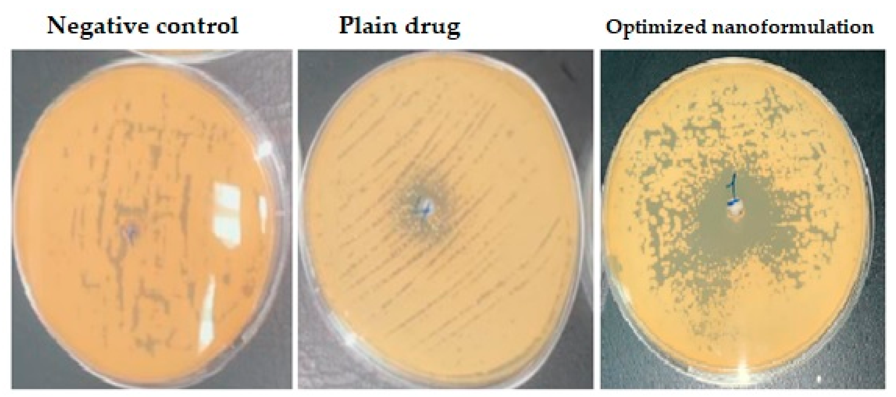 Polymers 15 00209 g006 Polymers 15 00209 g006