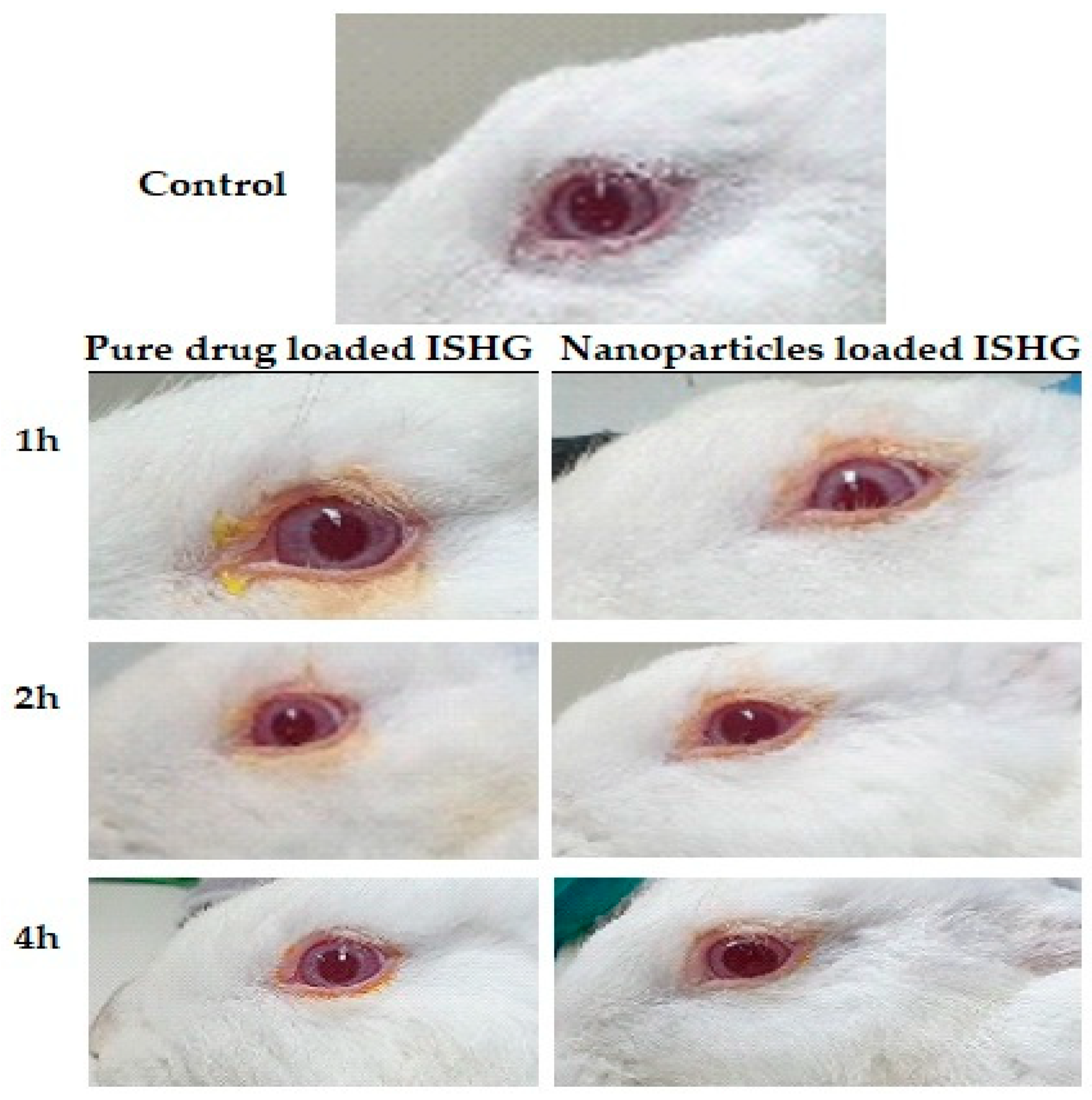 Polymers 15 00209 g008 Polymers 15 00209 g008