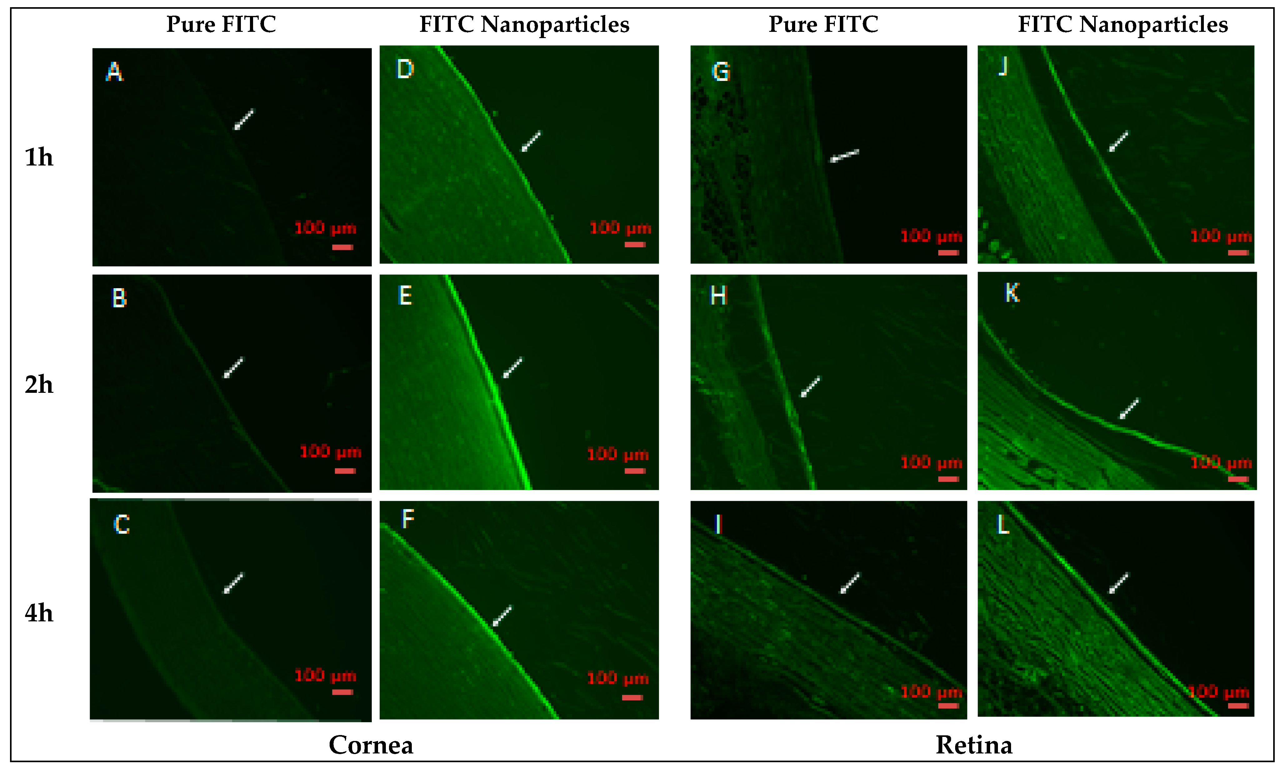 Polymers 15 00209 g009 Polymers 15 00209 g009