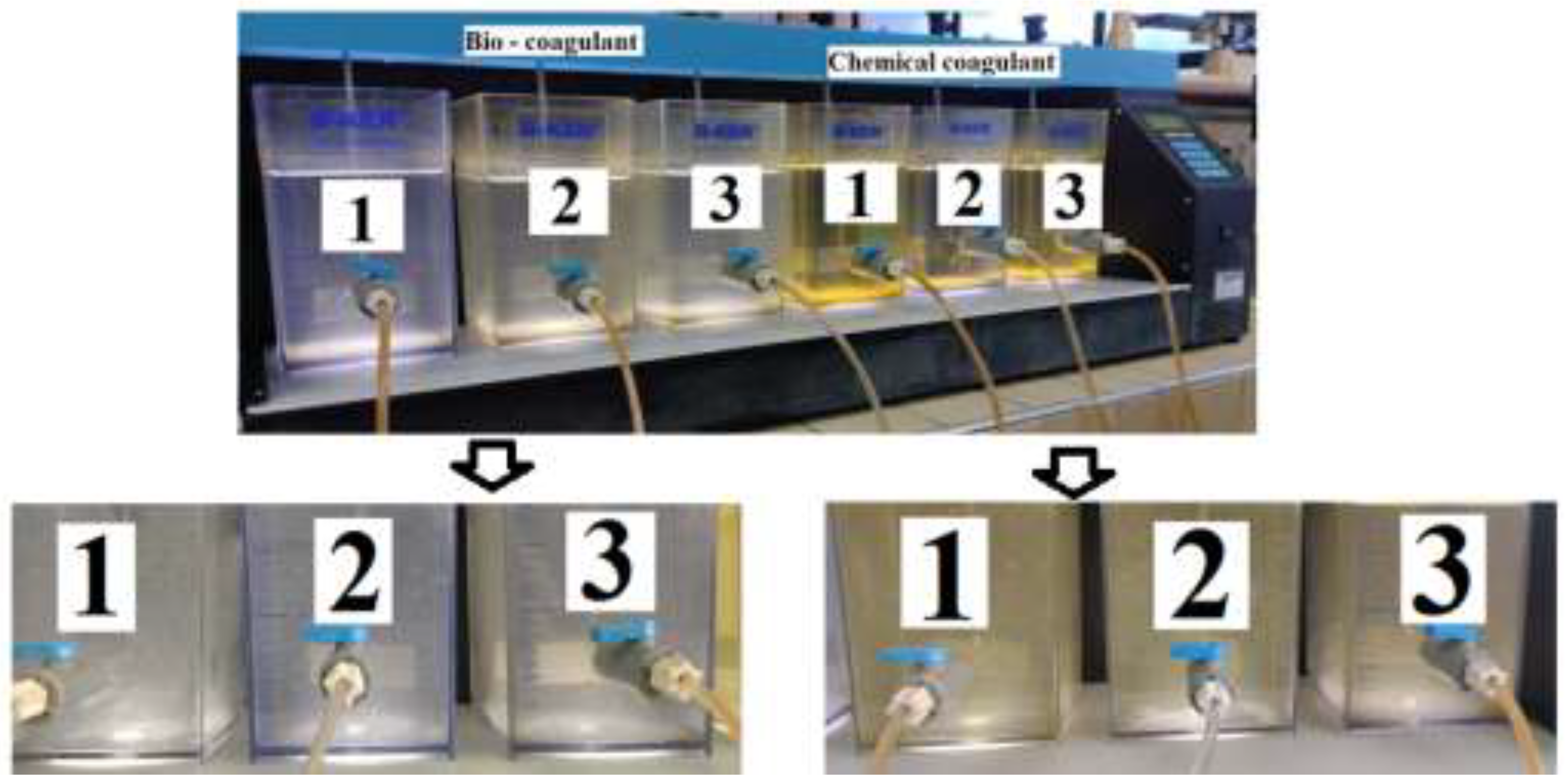 Polymers 15 00217 g001 Polymers 15 00217 g001