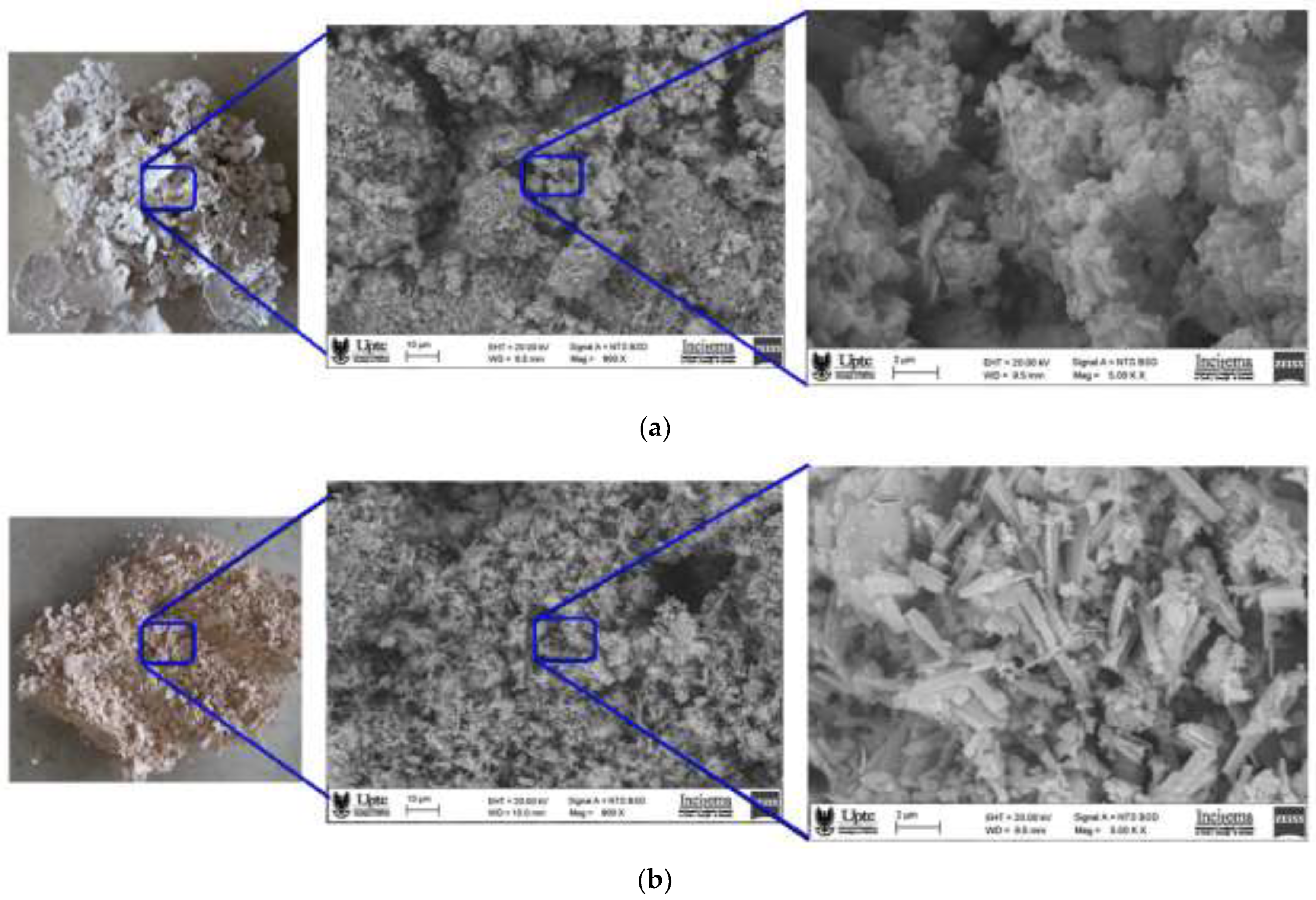 Polymers 15 00217 g005 Polymers 15 00217 g005