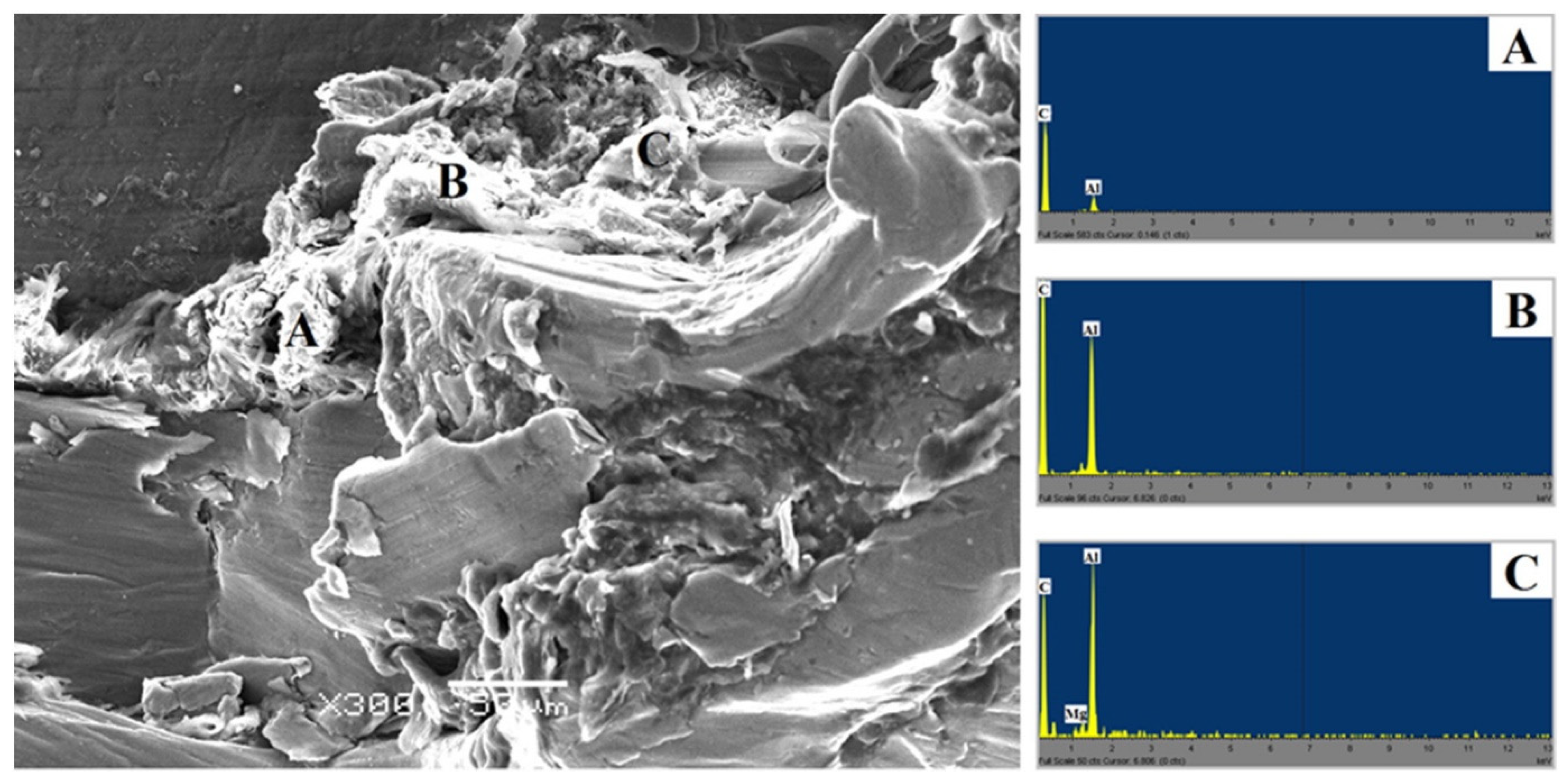 Polymers 15 00220 g006 Polymers 15 00220 g006