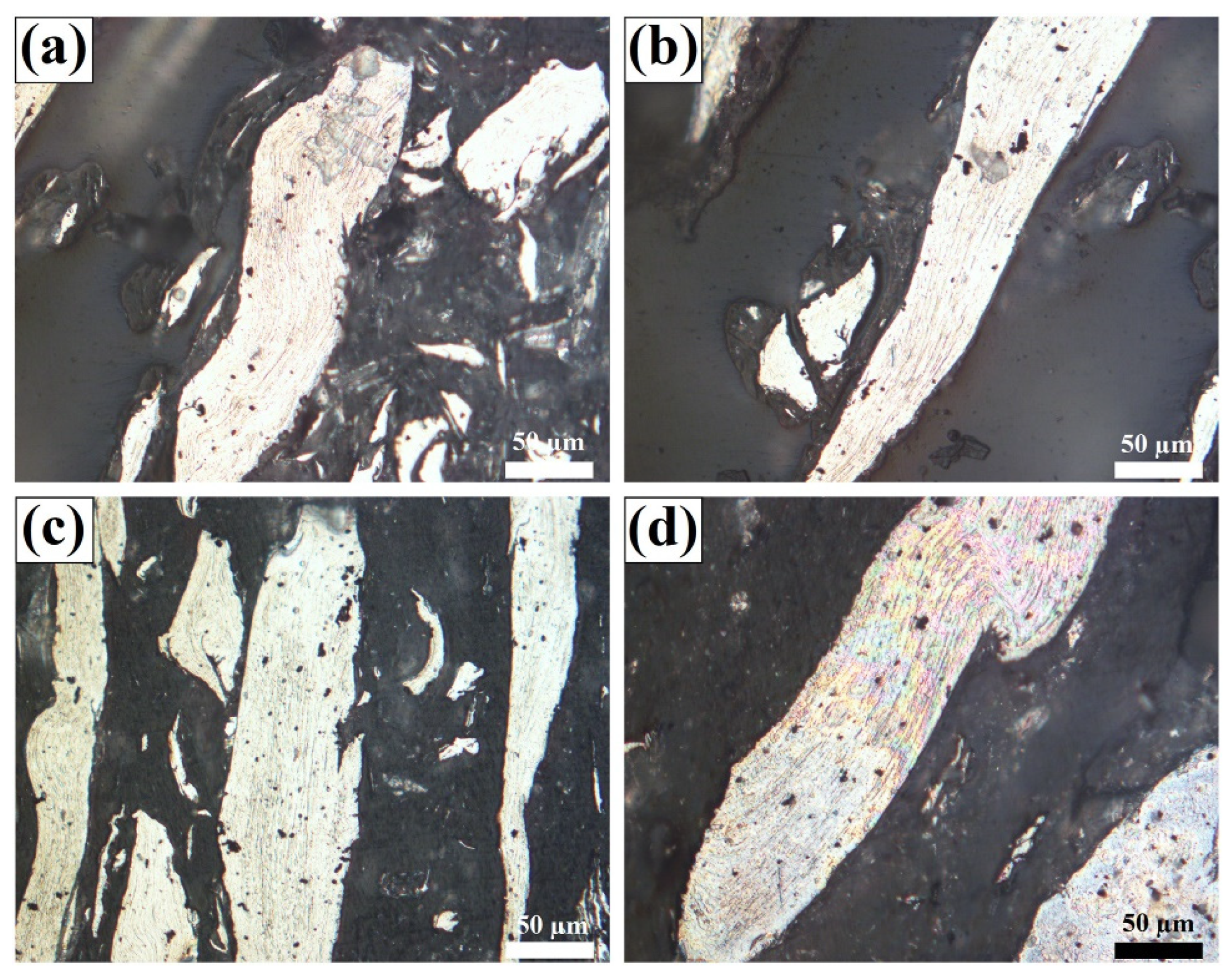 Polymers 15 00220 g009 Polymers 15 00220 g009