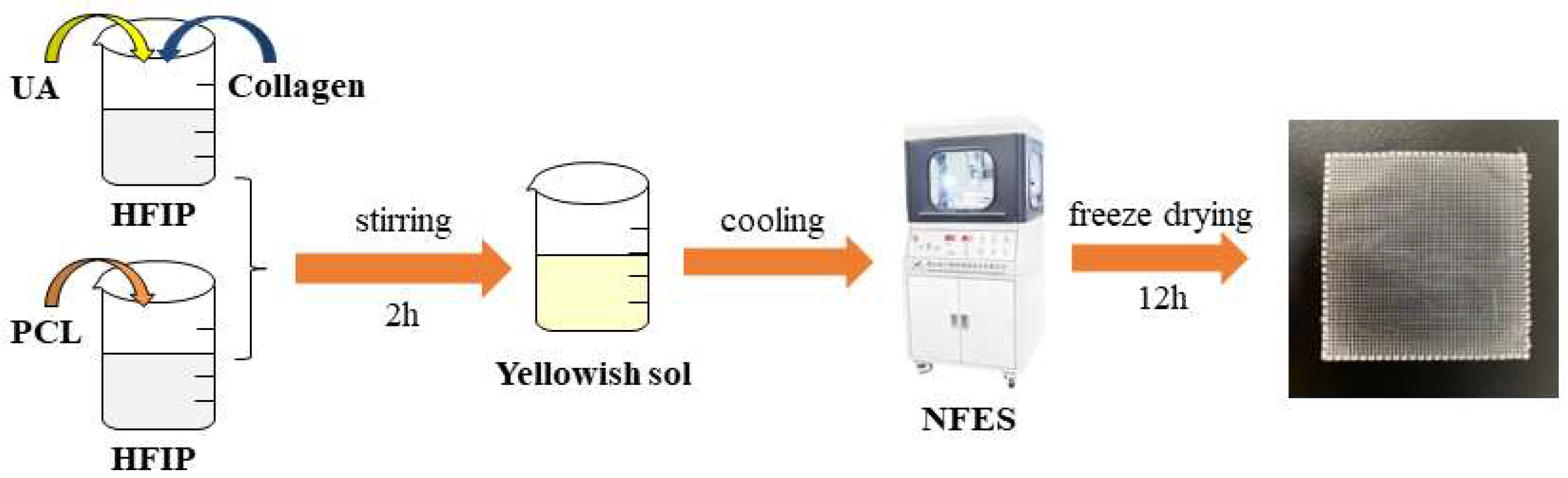 Polymers 15 00223 g001 Polymers 15 00223 g001