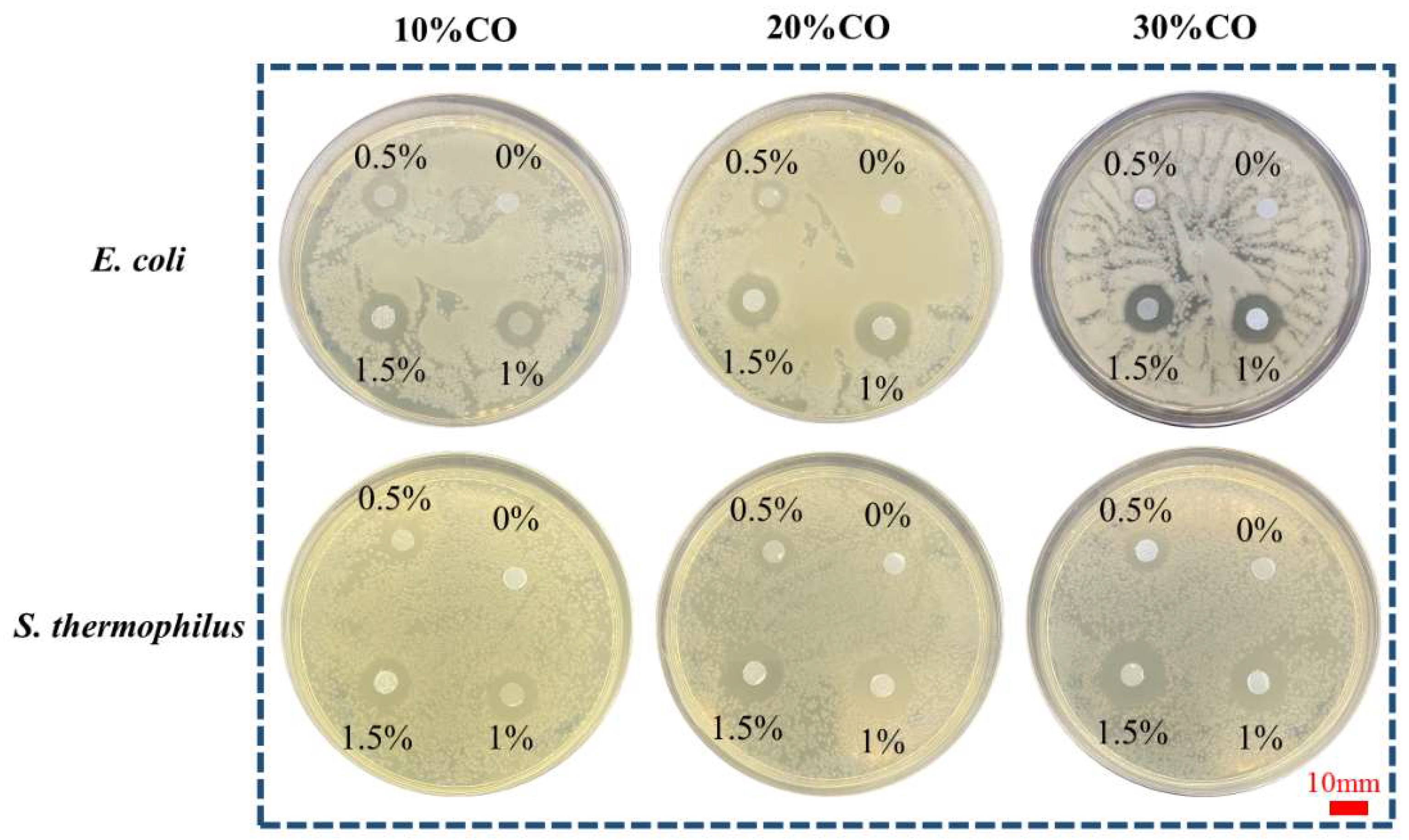 Polymers 15 00223 g008 Polymers 15 00223 g008
