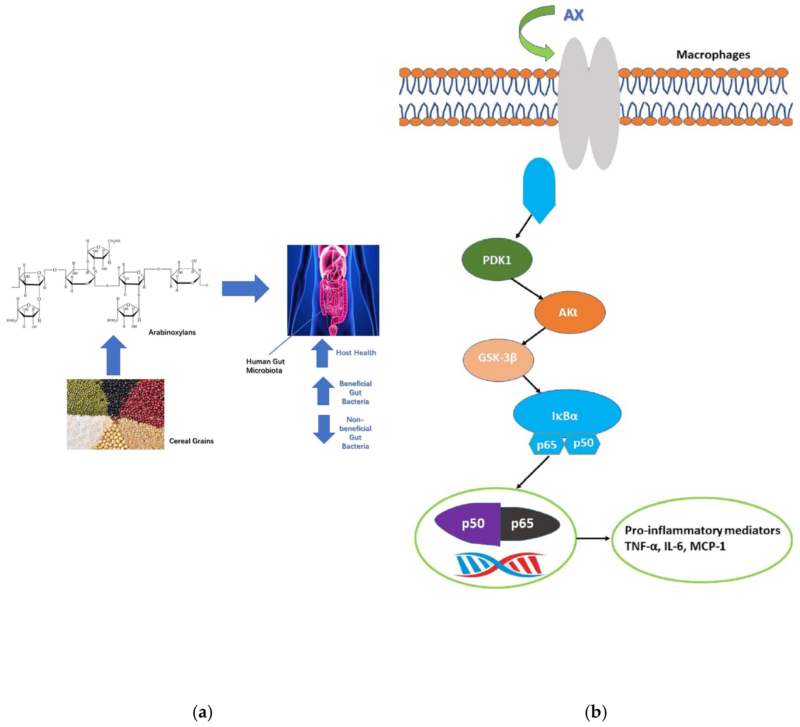 Polymers 15 00225 g001 Polymers 15 00225 g001