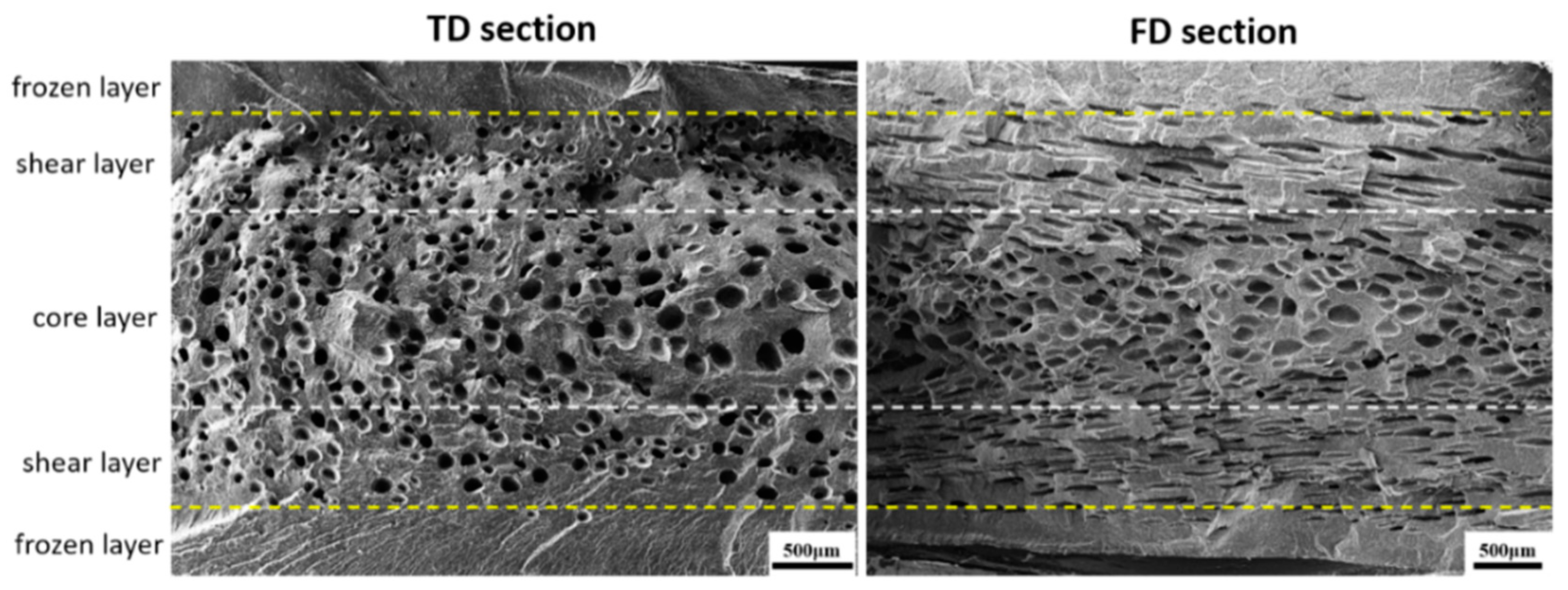 Polymers 15 00227 g008