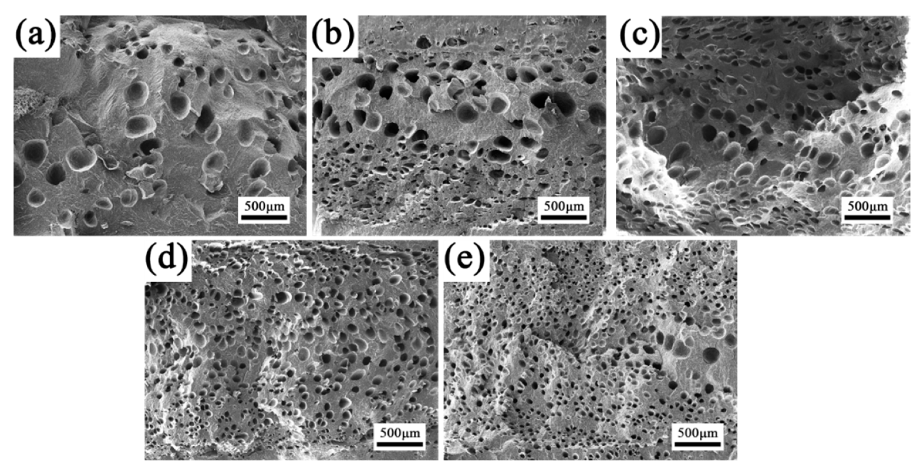 Polymers 15 00227 g009