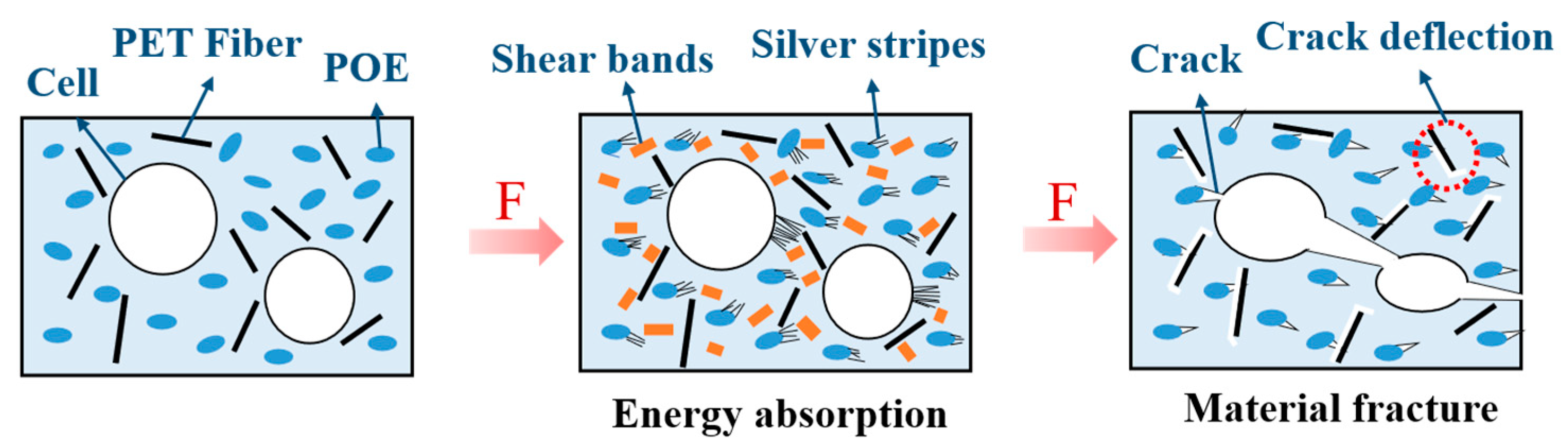 Polymers 15 00227 g014