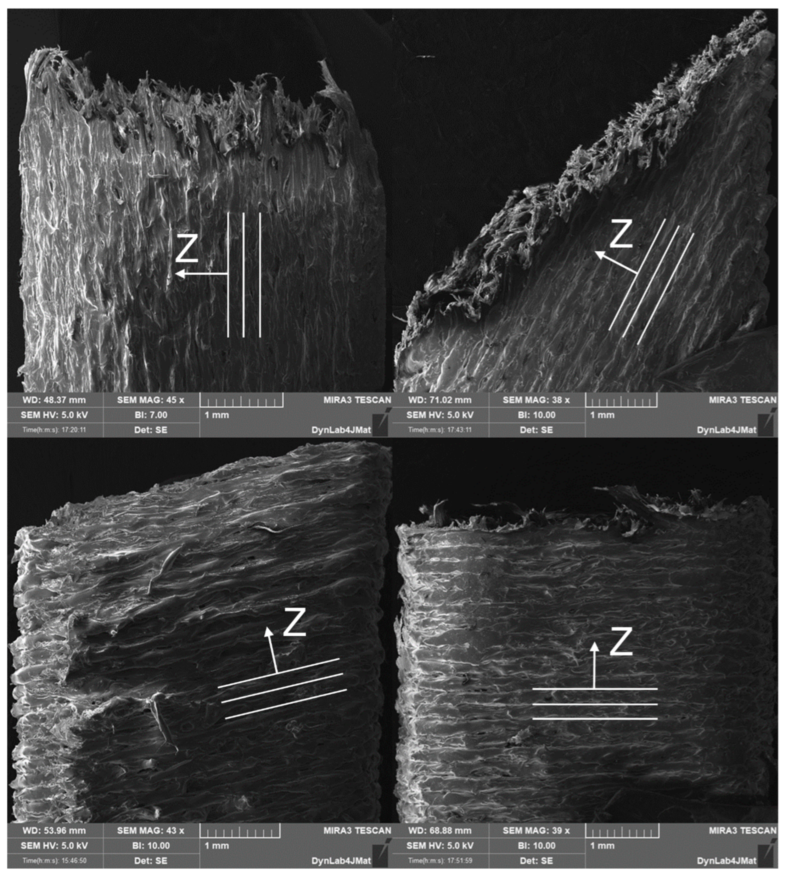 Polymers 15 00234 g009 Polymers 15 00234 g009
