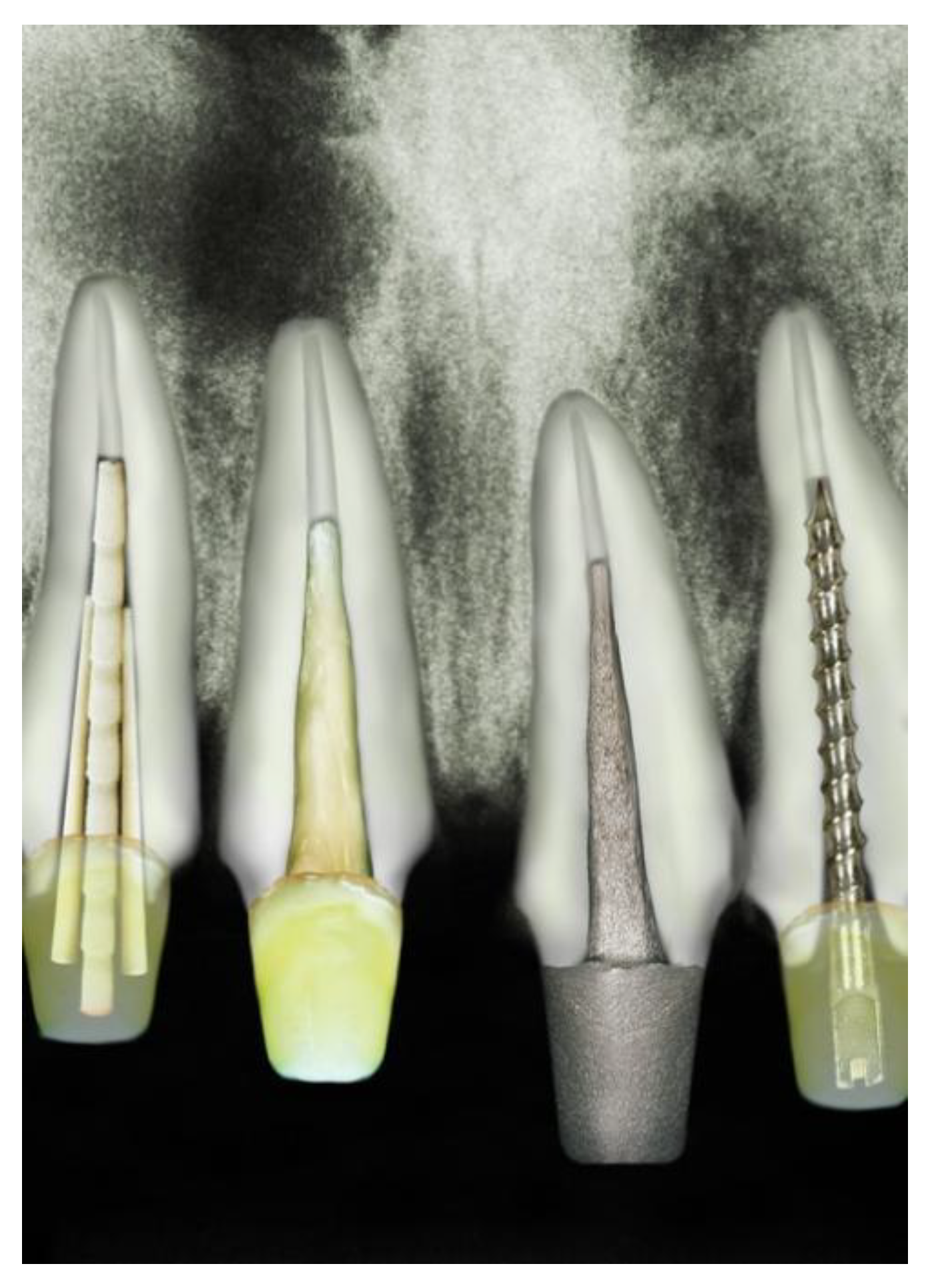 Polymers 15 00236 g001 Polymers 15 00236 g001