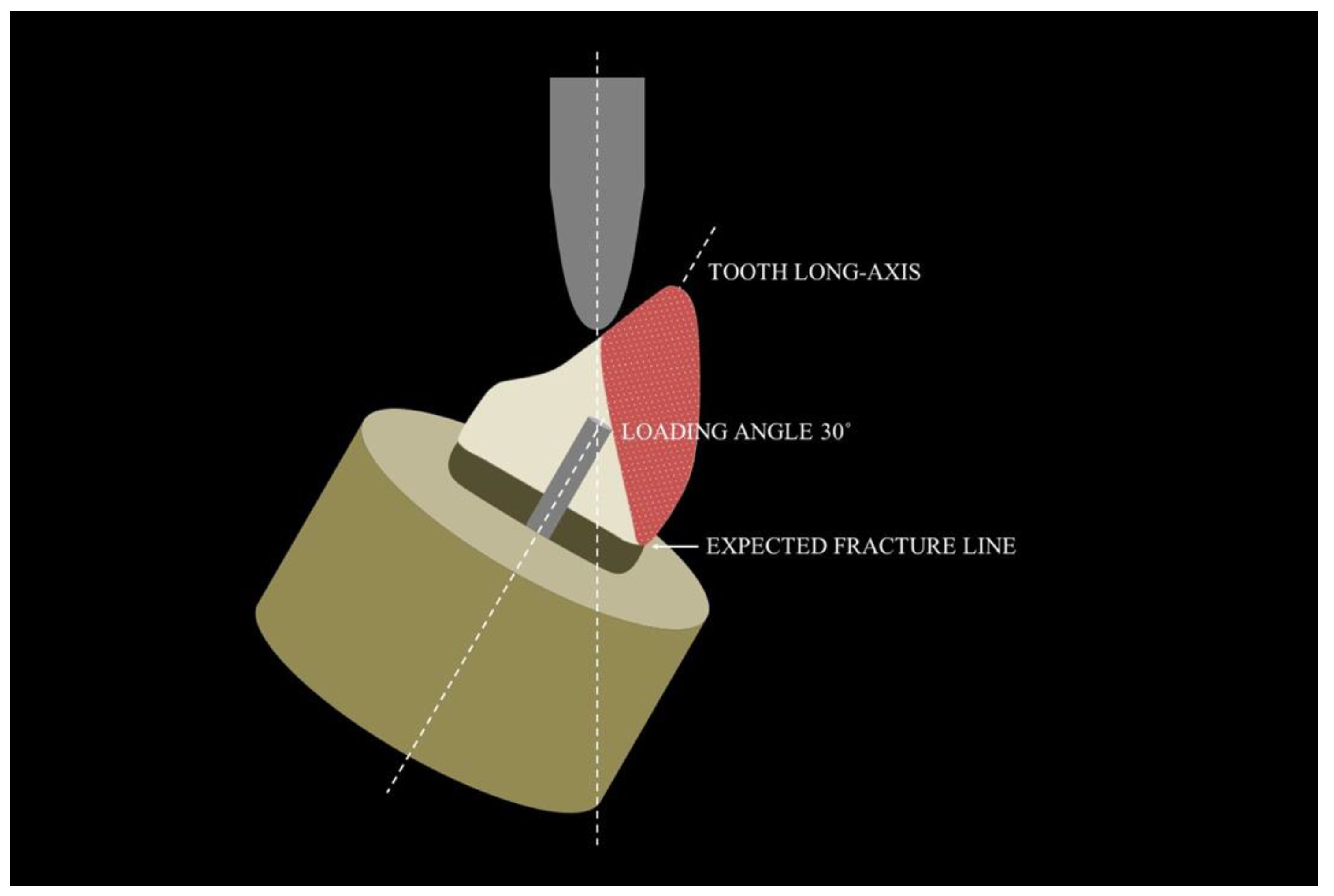 Polymers 15 00236 g003 Polymers 15 00236 g003