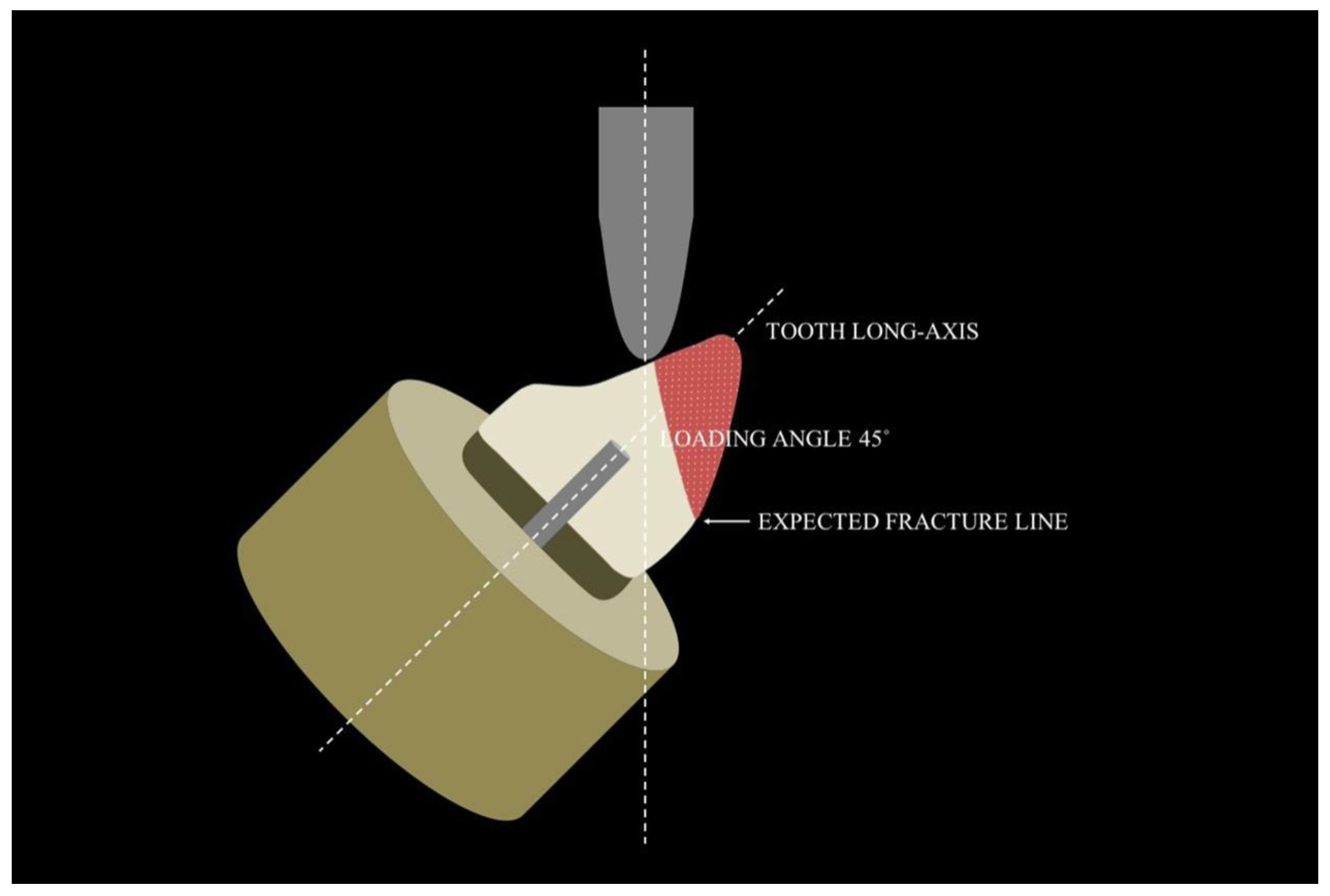 Polymers 15 00236 g004 Polymers 15 00236 g004