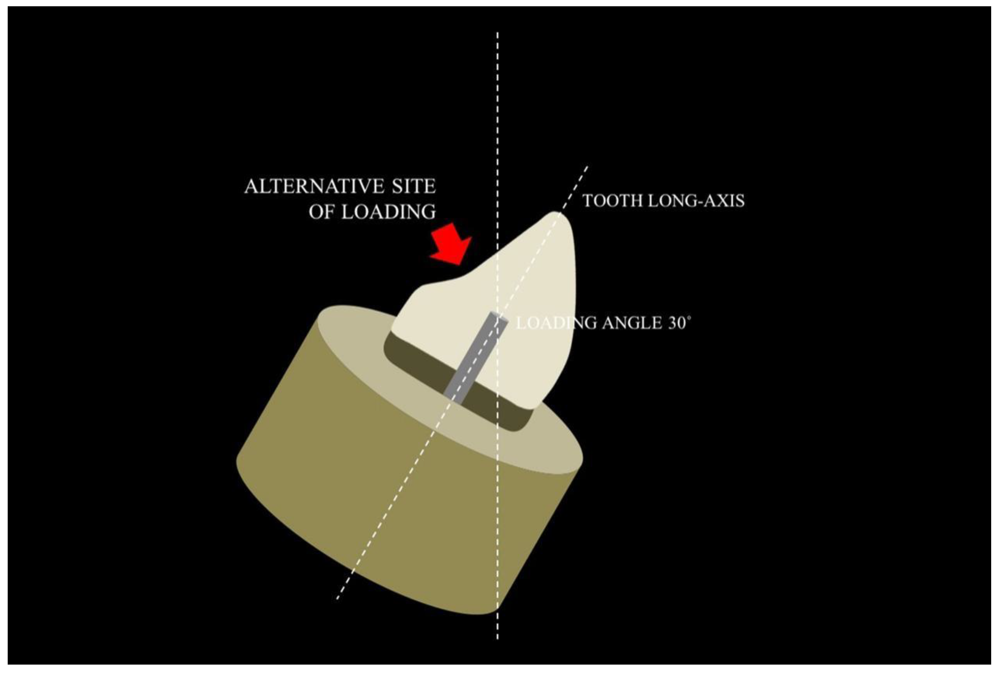 Polymers 15 00236 g005 Polymers 15 00236 g005