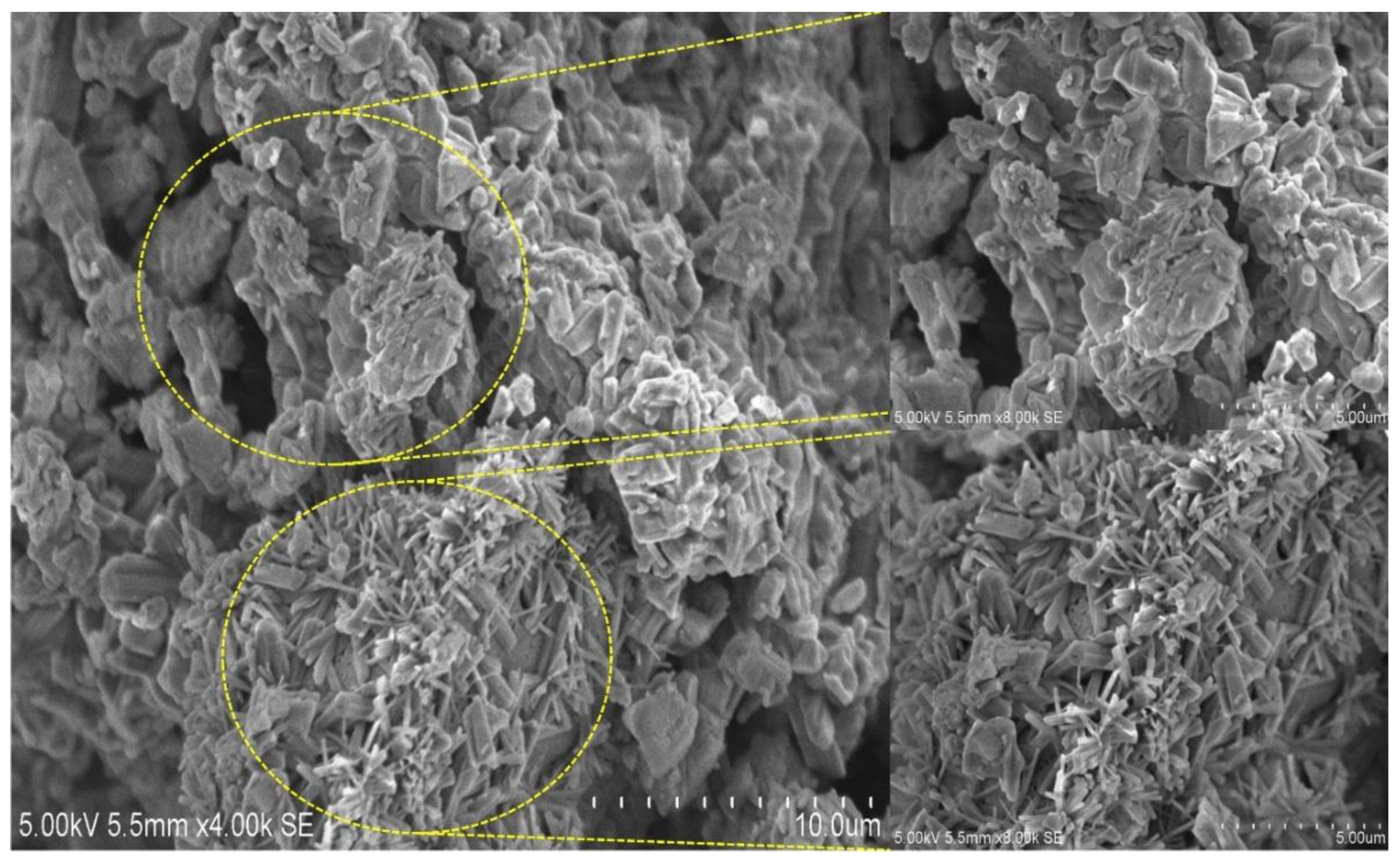 Polymers 15 00237 g005 Polymers 15 00237 g005