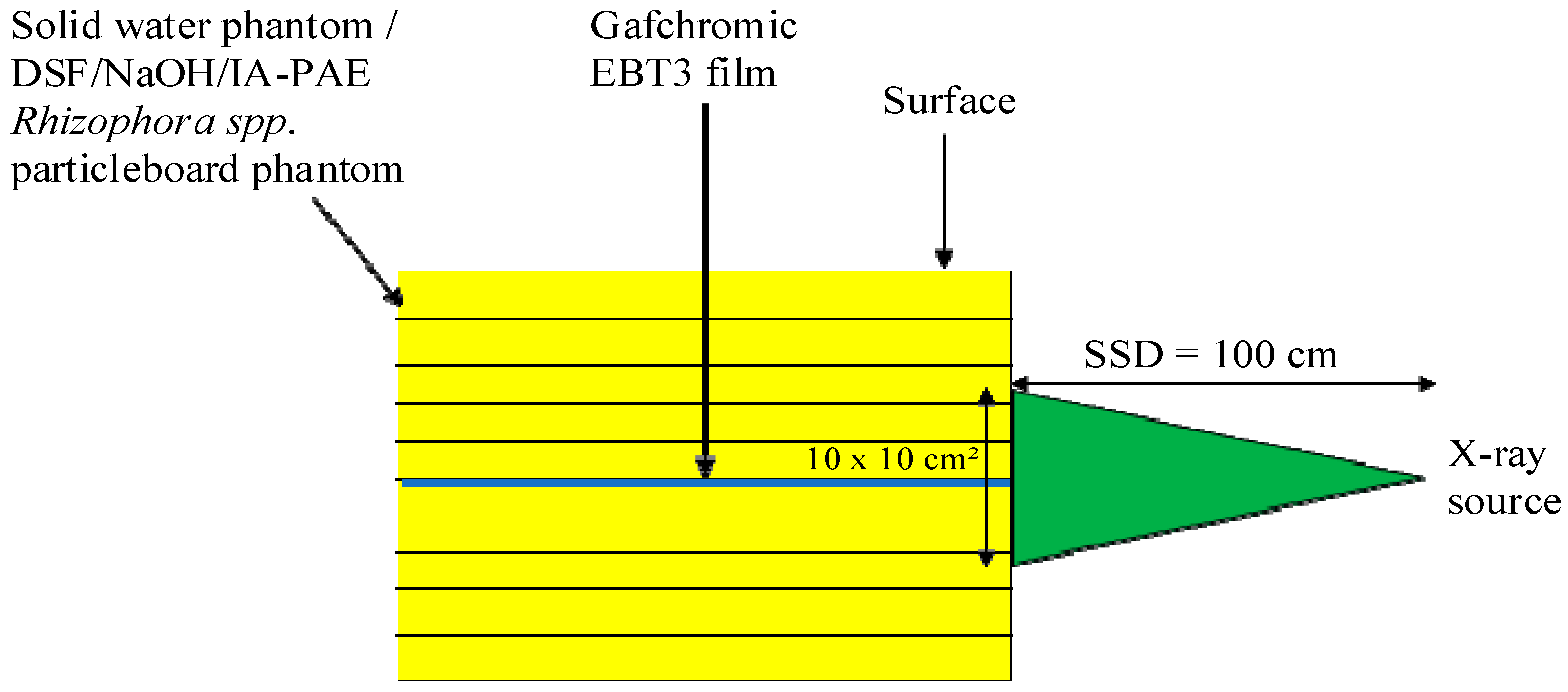 Polymers 15 00244 g003
