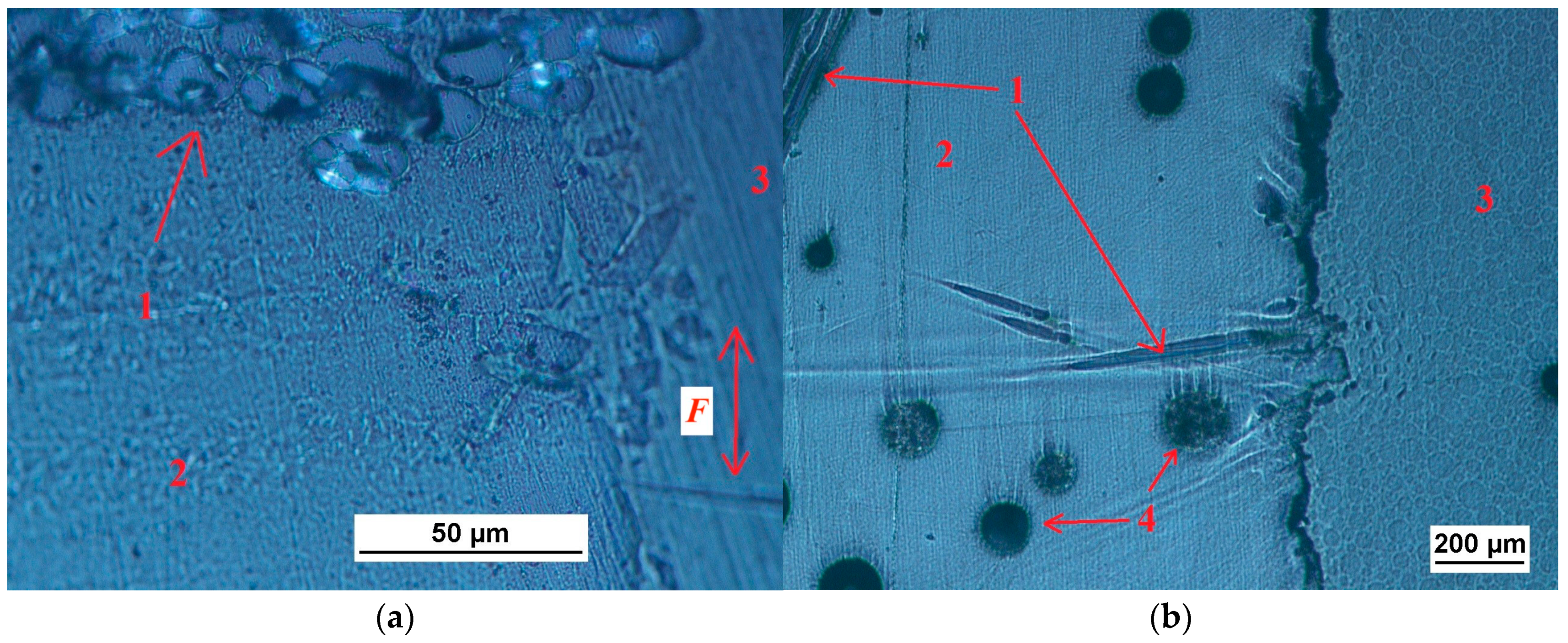 Polymers 15 00245 g001