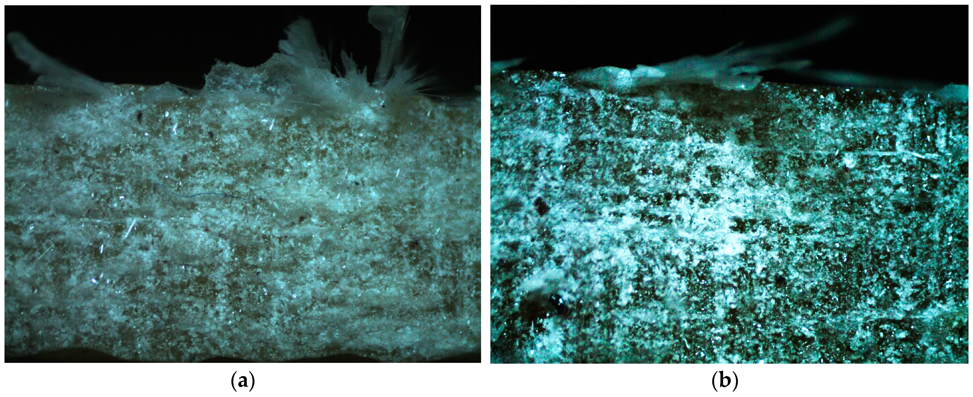 Polymers 15 00245 g006