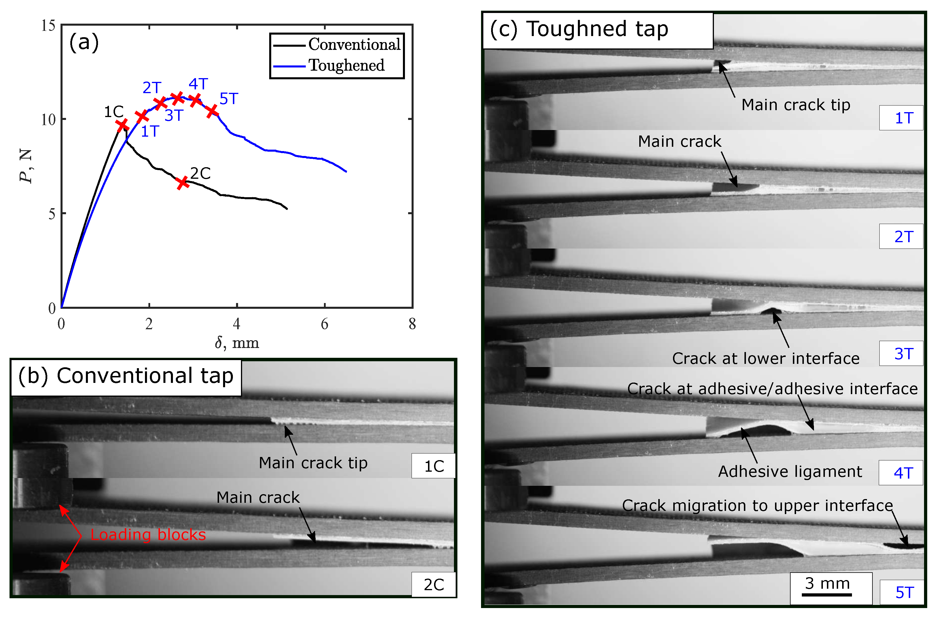 Polymers 15 00259 g010