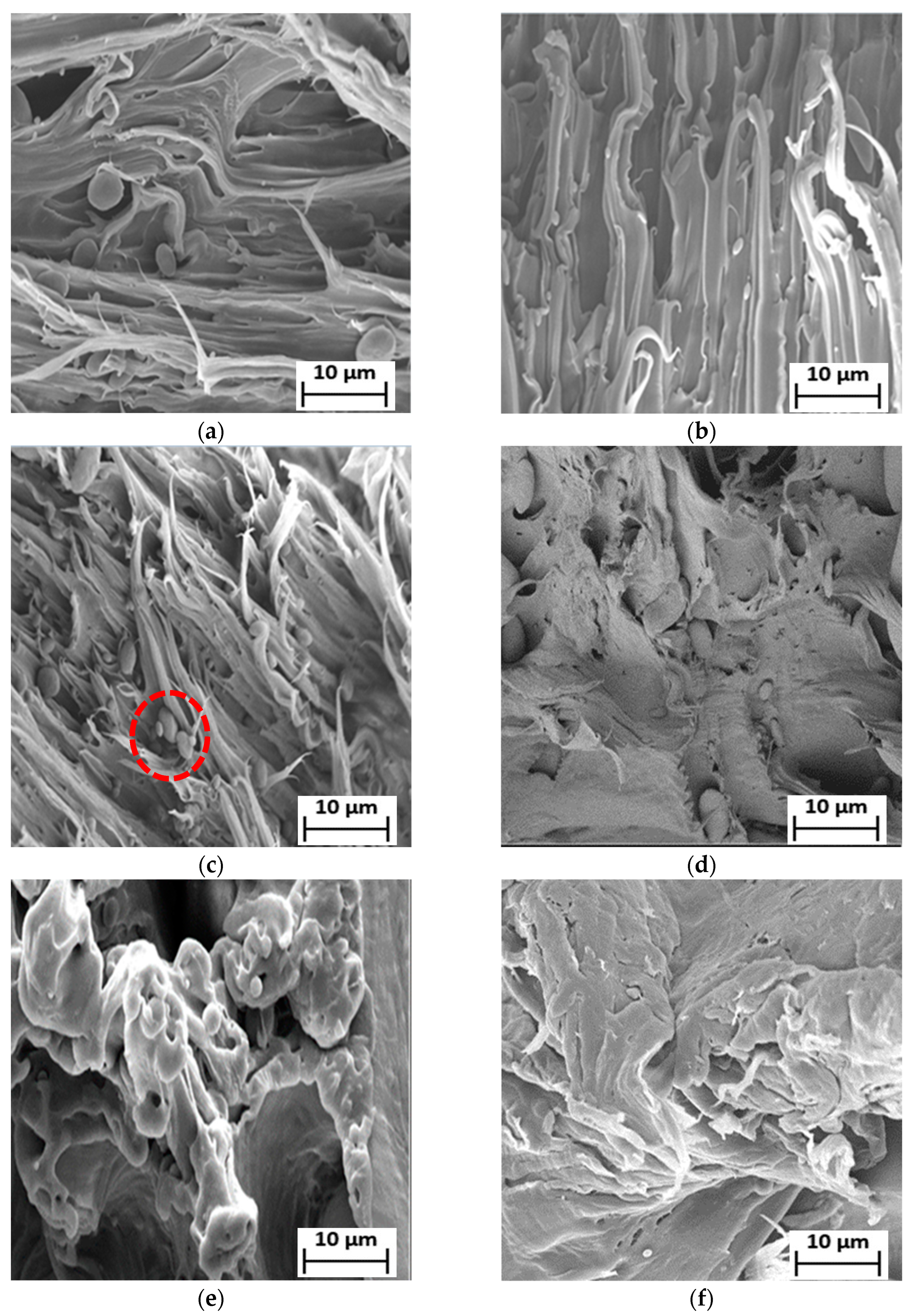 Polymers 15 00261 g006a Polymers 15 00261 g006a