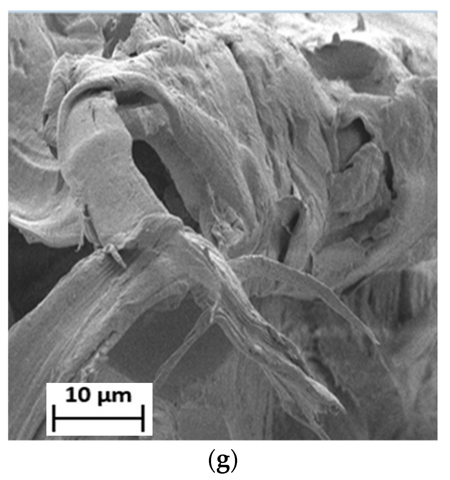 Polymers 15 00261 g006b Polymers 15 00261 g006b