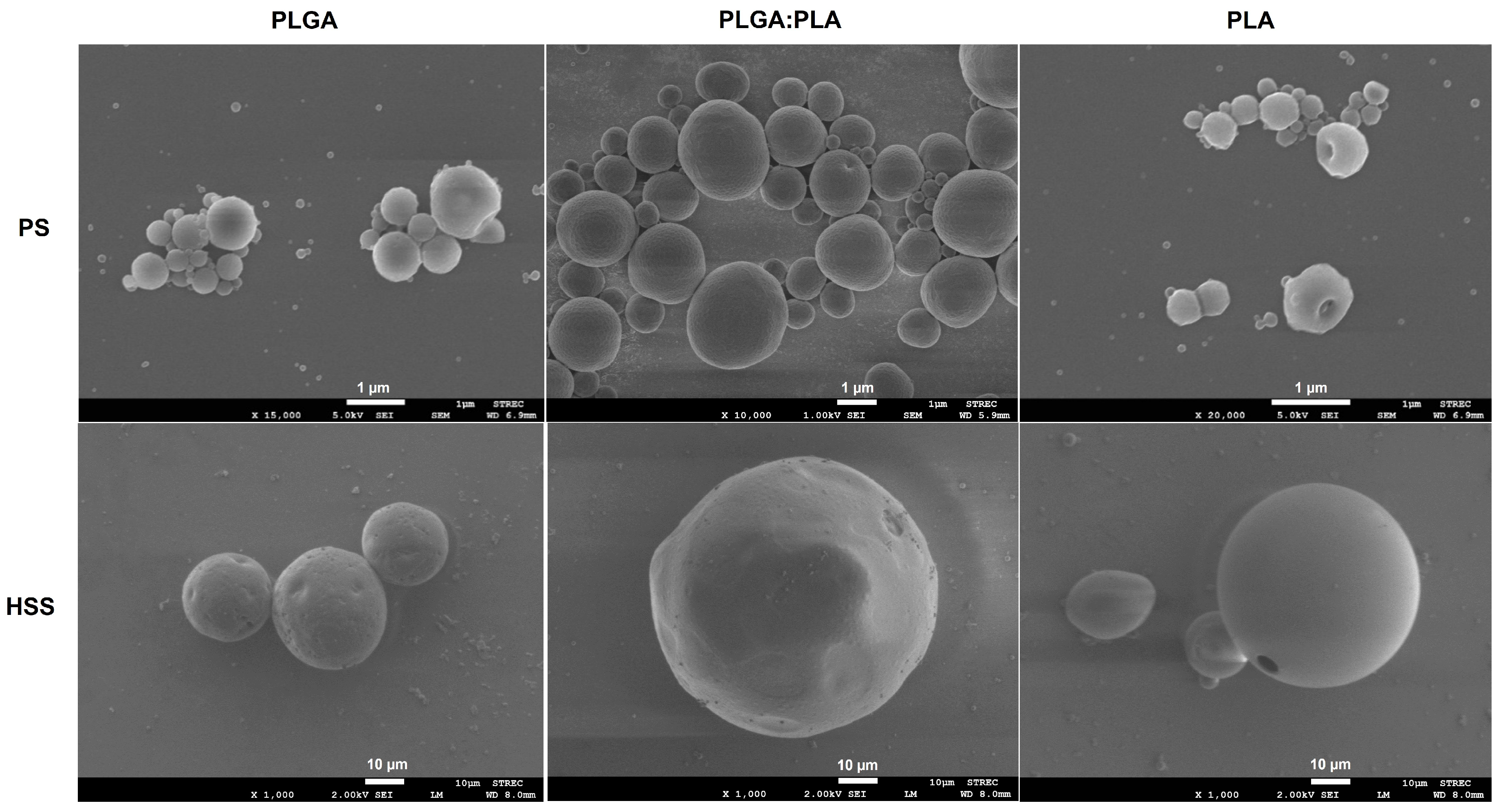 Polymers 15 00266 g001