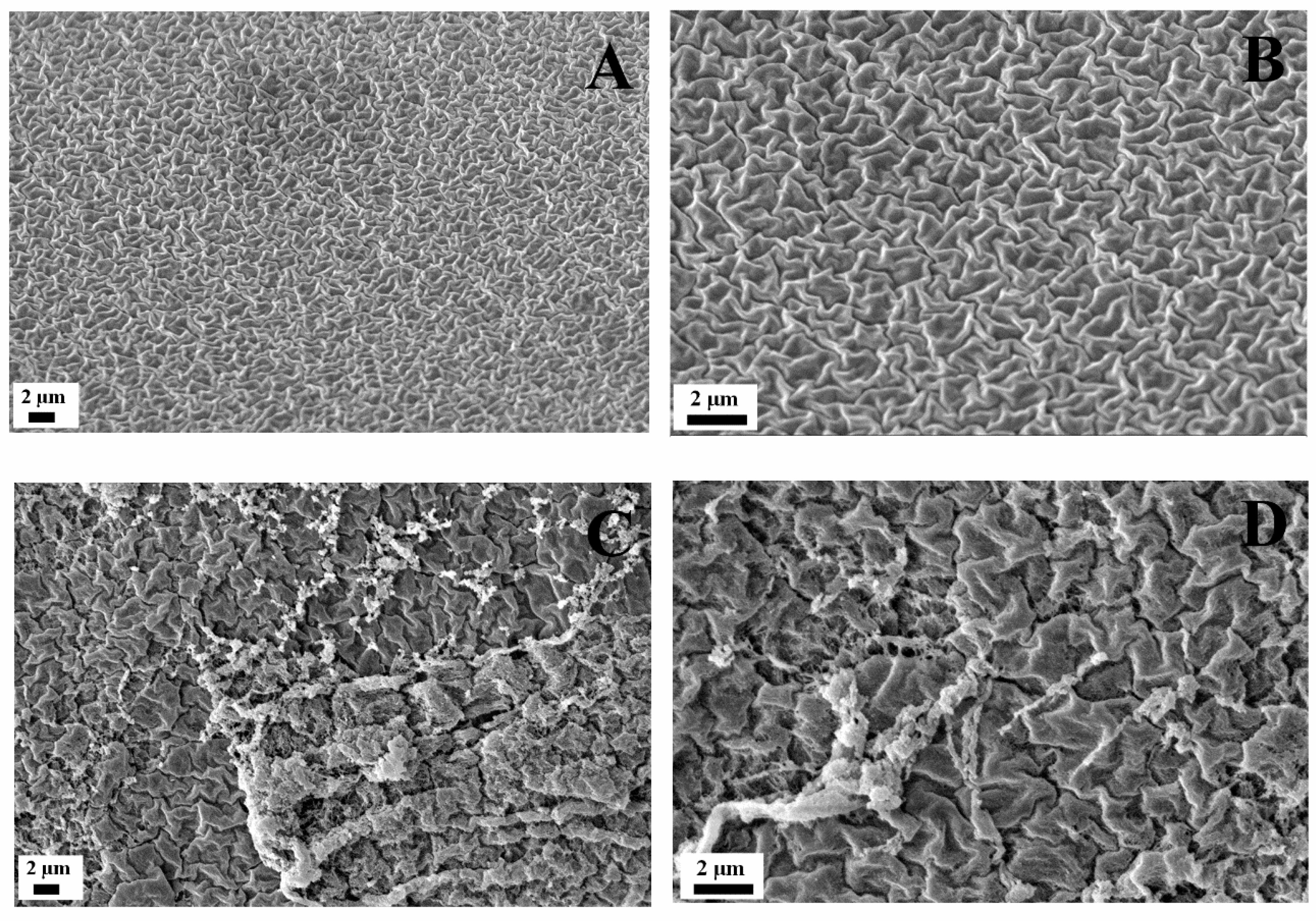 Polymers 15 00275 g002