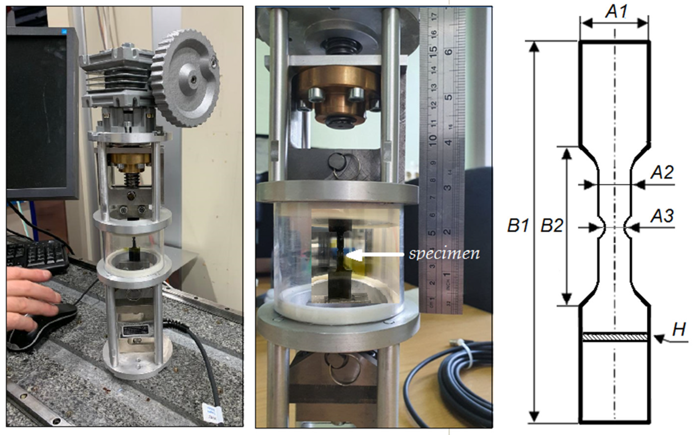 Polymers 15 00276 g001