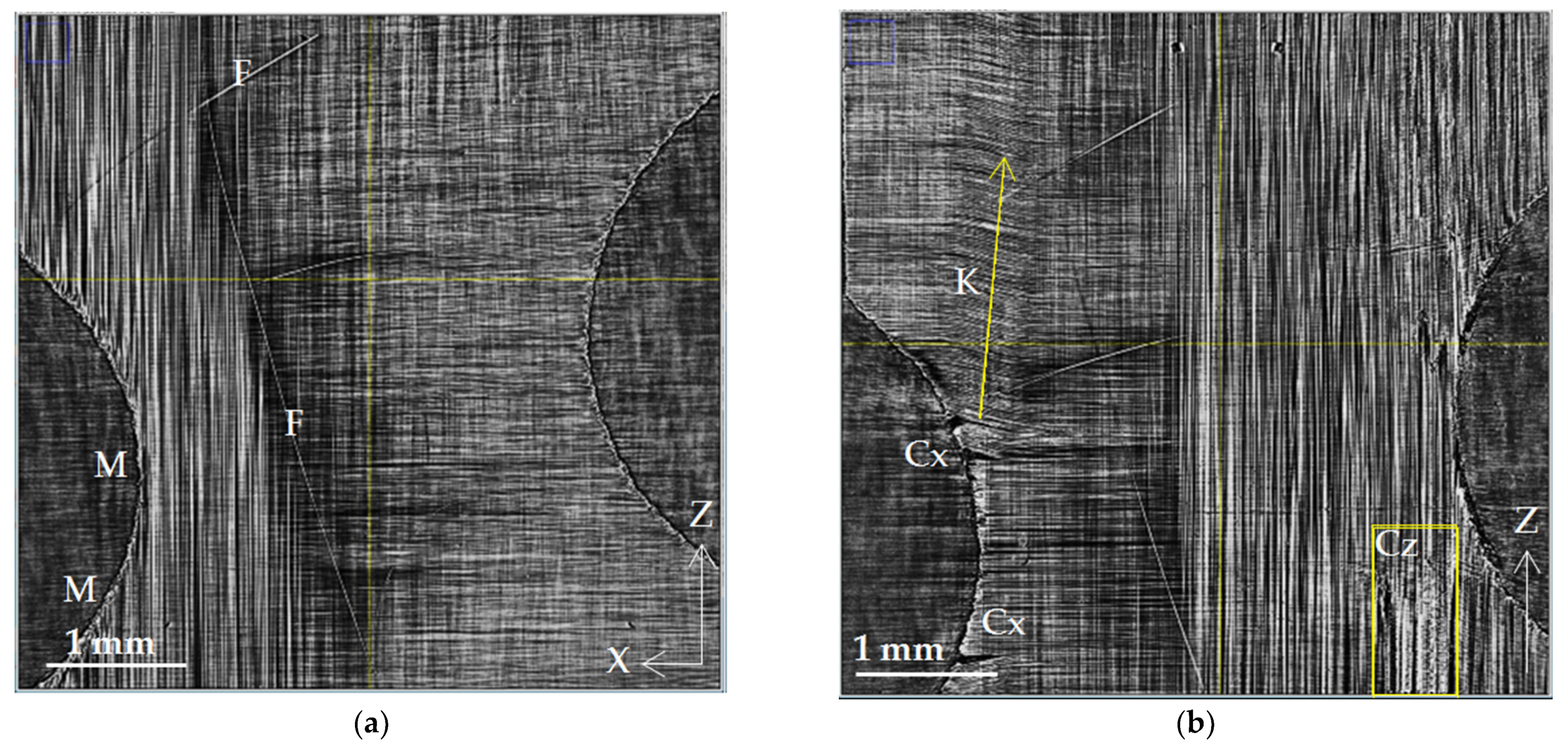 Polymers 15 00276 g004