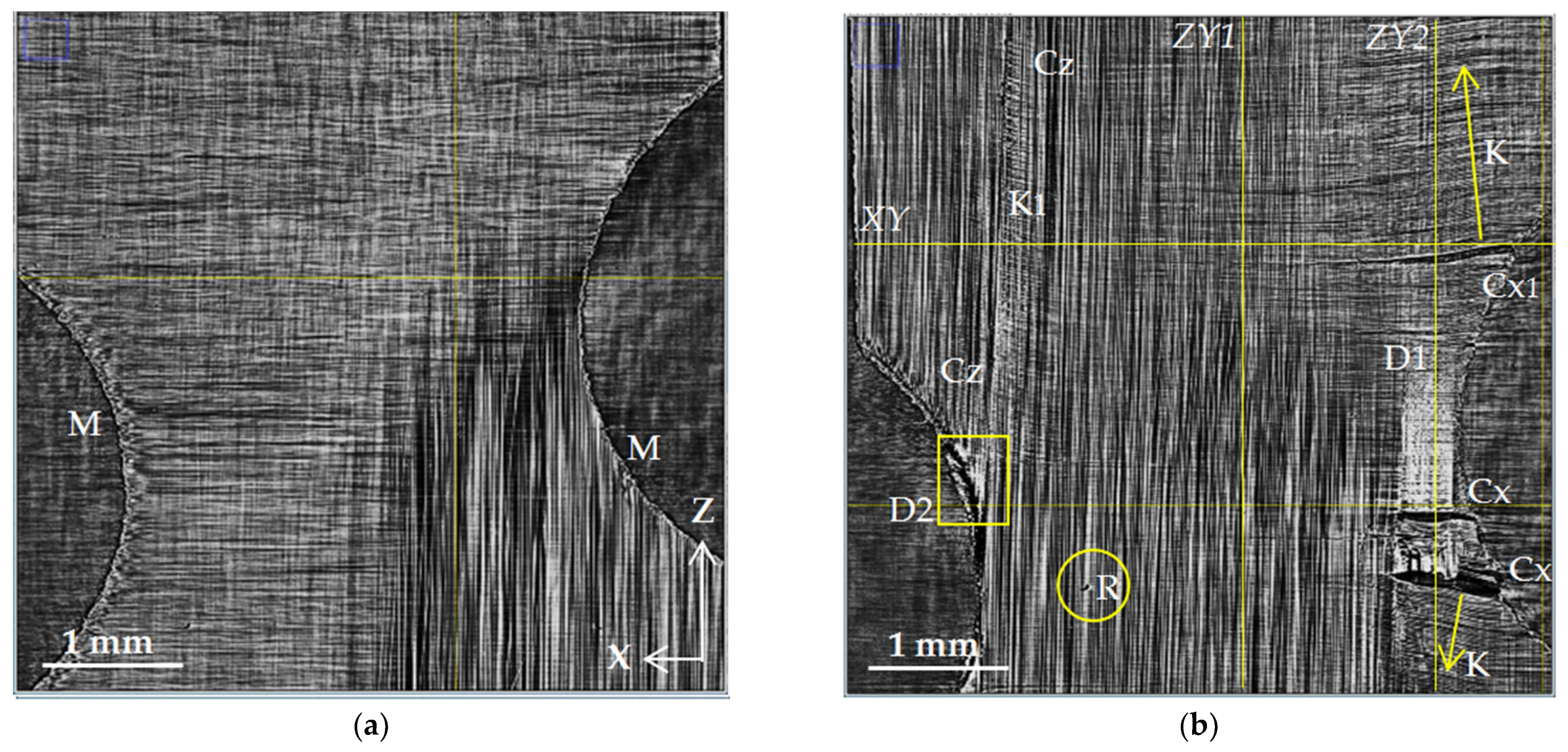 Polymers 15 00276 g006