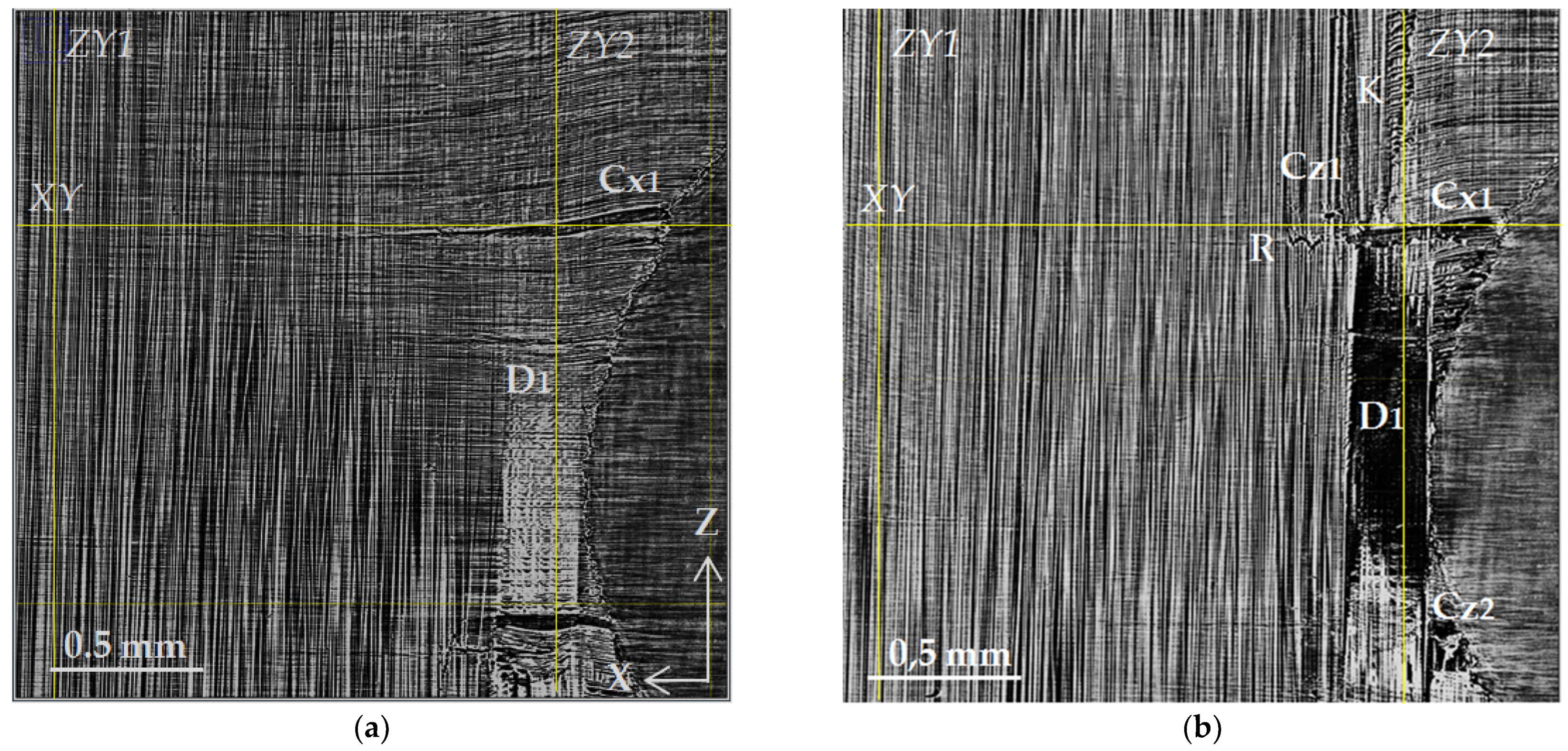 Polymers 15 00276 g007