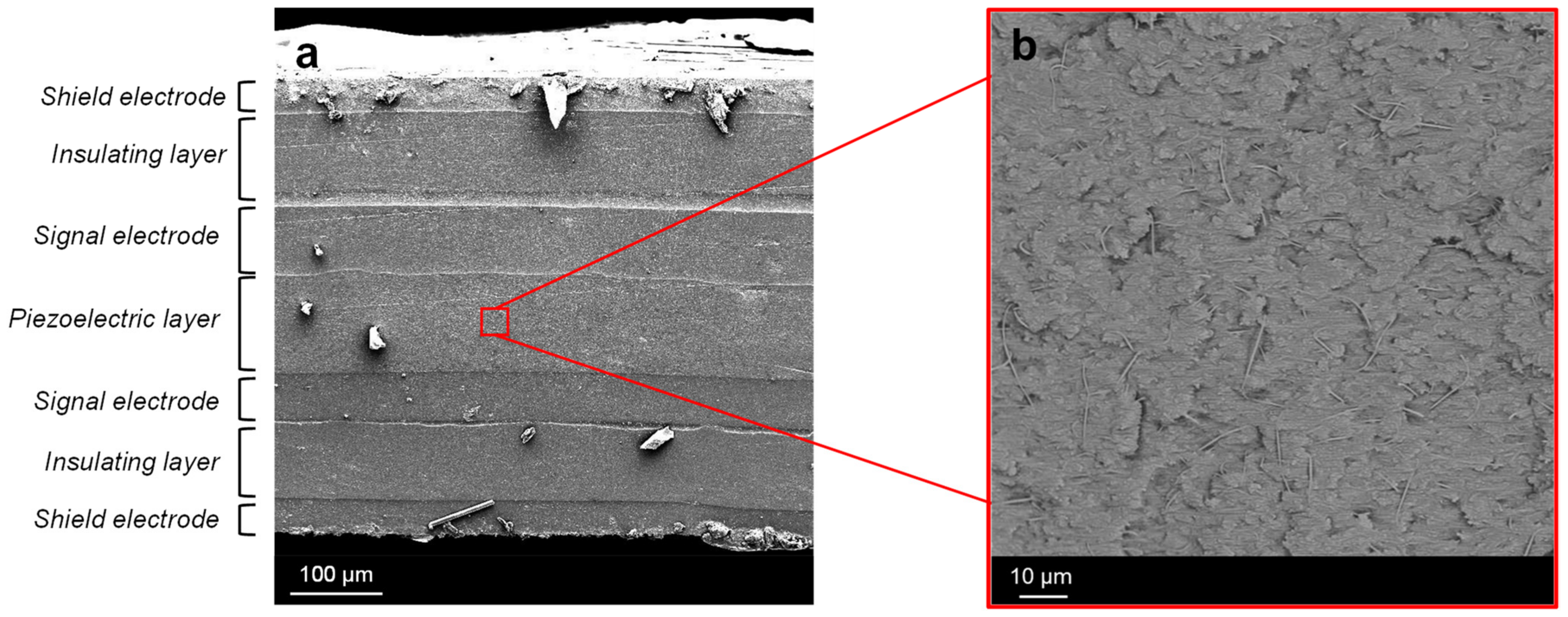 Polymers 15 00280 g014 Polymers 15 00280 g014