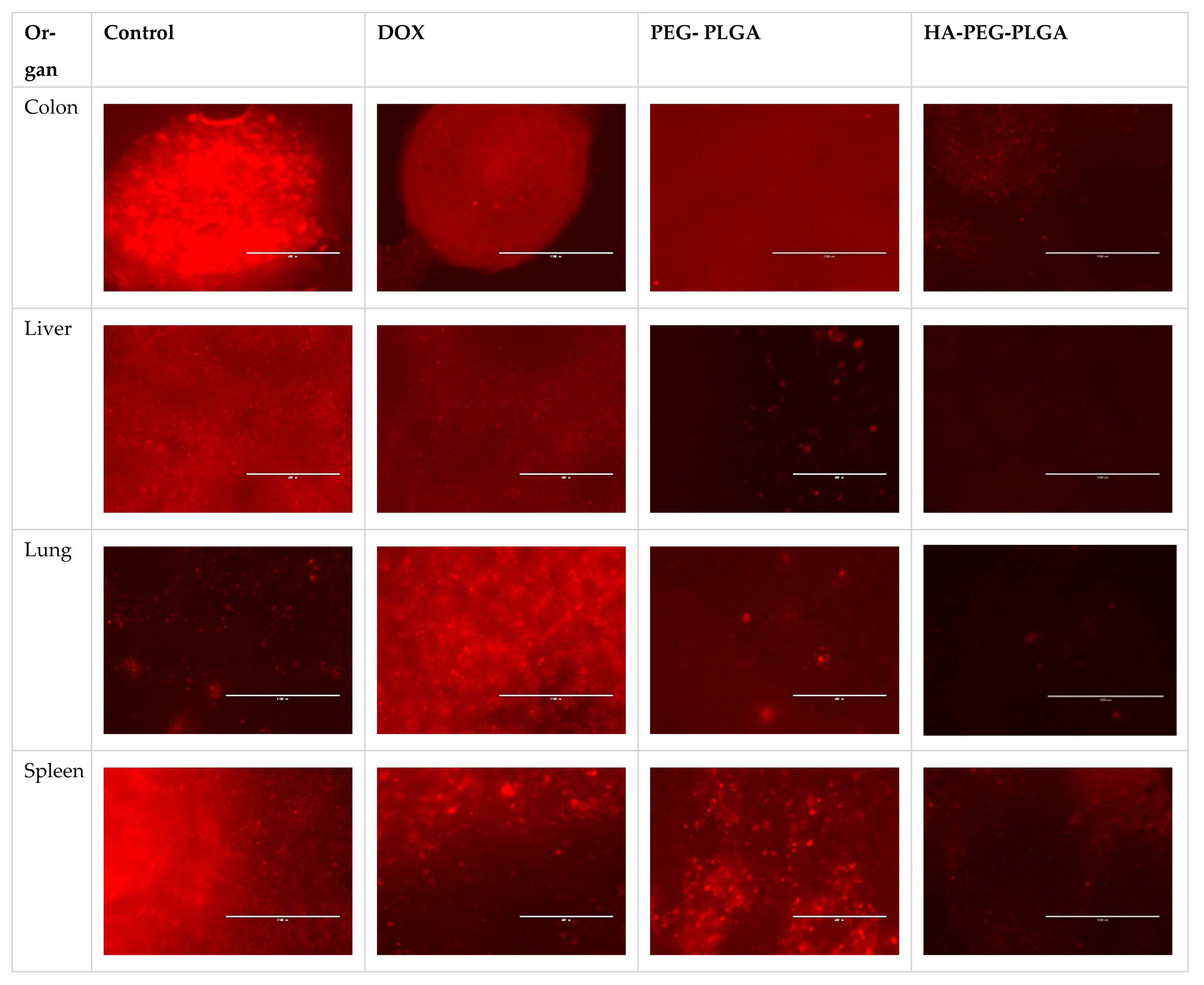 Polymers 15 00284 g006 Polymers 15 00284 g006