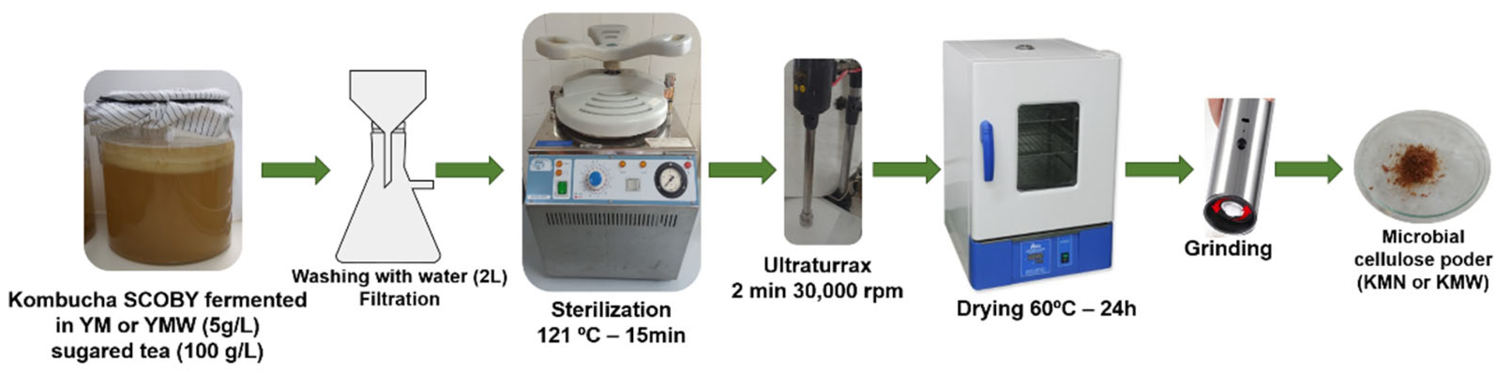 Polymers 15 00285 g001 Polymers 15 00285 g001